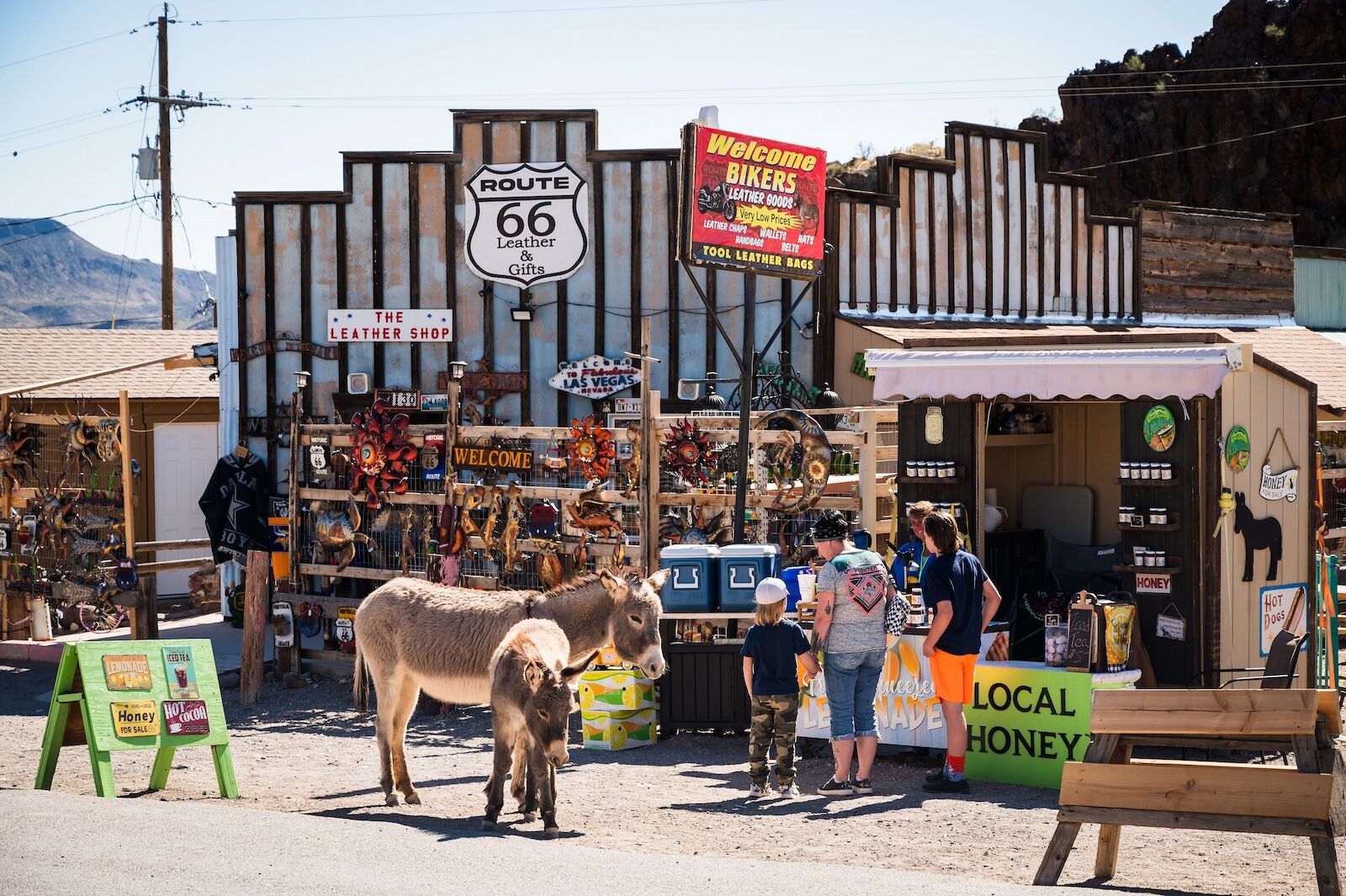 oatman, arizona - arizona to california route 66 roadtrip