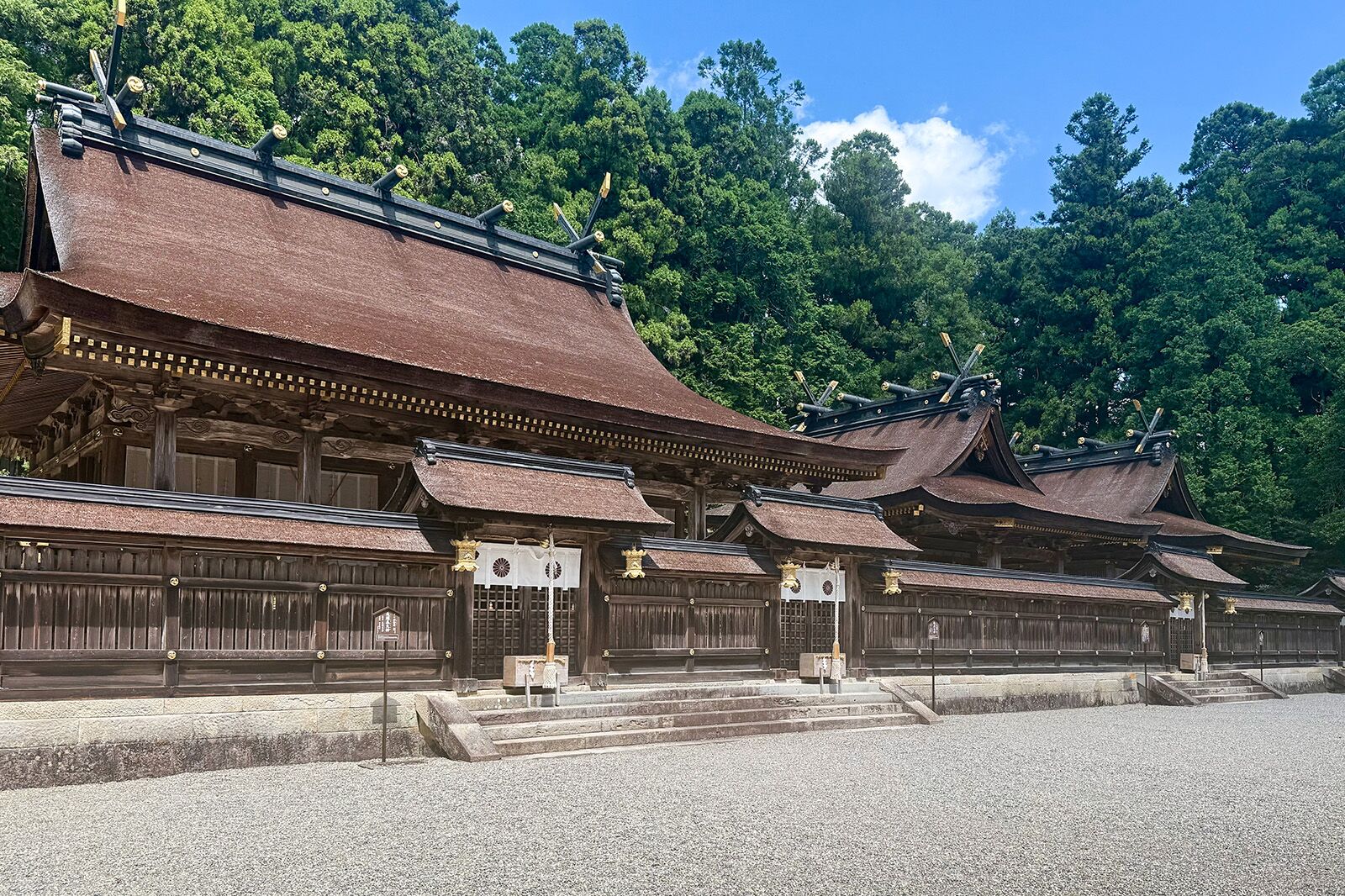 Walking the Kumano Kodo Trail