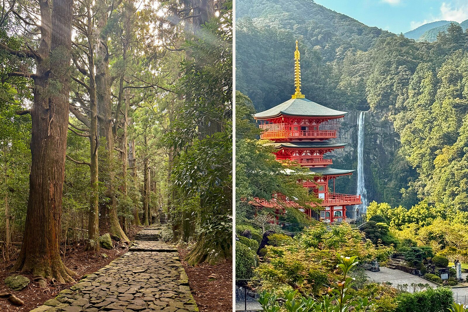 Walking the Kumano Kodo Trail