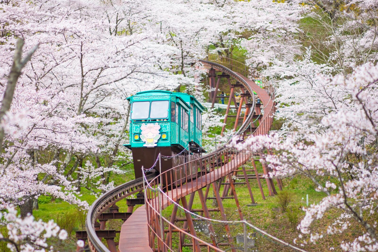 Slope Car Passing Sakura Tunnel, Sendai, Japan
