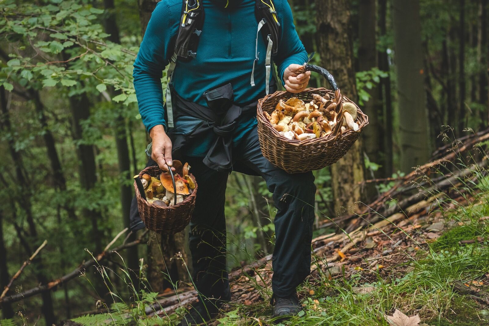 The Forests of Southwest Finland Hide One of Europe’s Richest Food Cultures