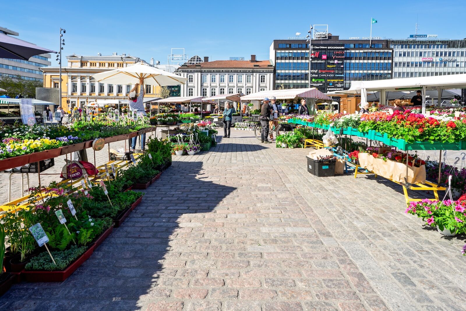 turku finland mushrooms  - turku market square