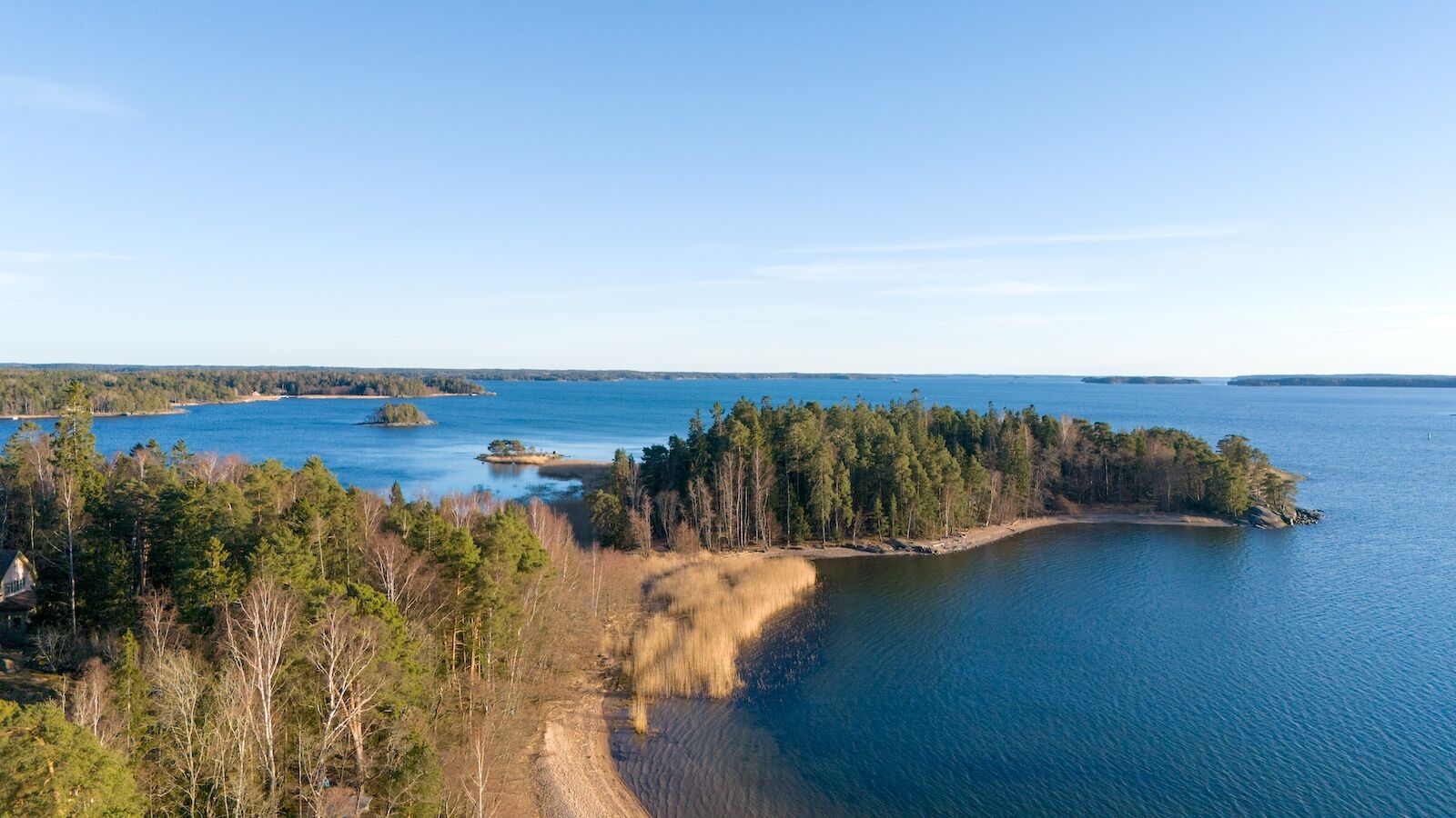 turky finland mushrooms - island of Ruissalo