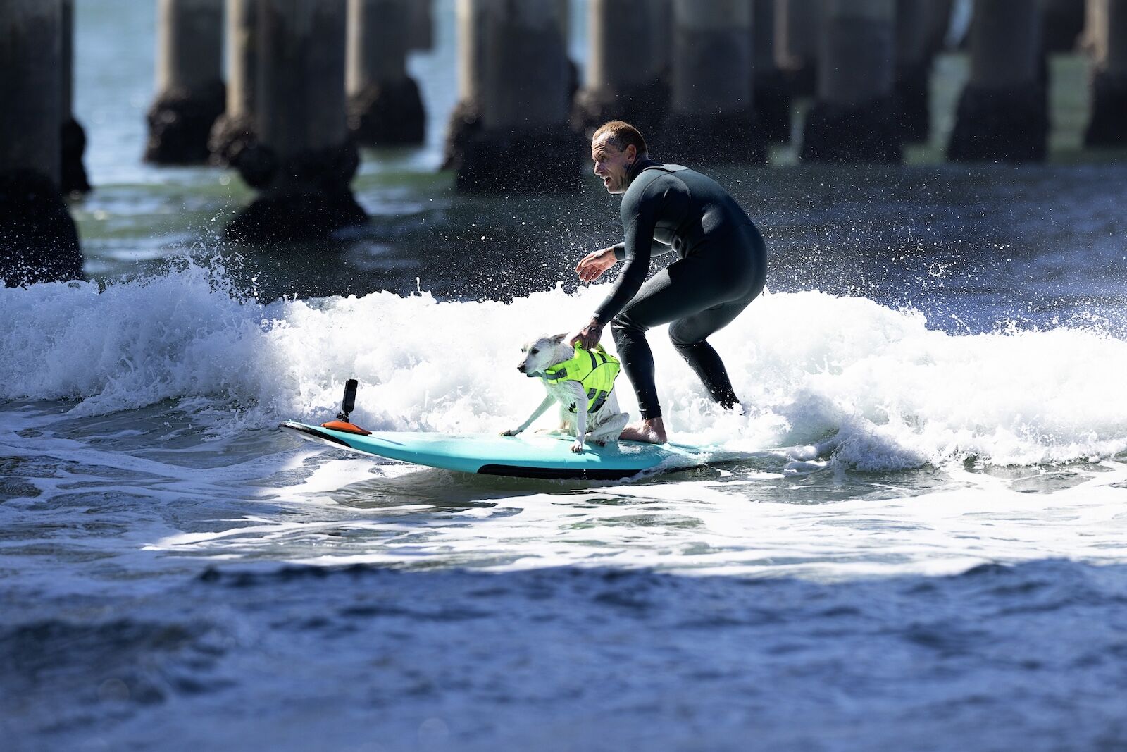 sugar and ryan rustan on wave