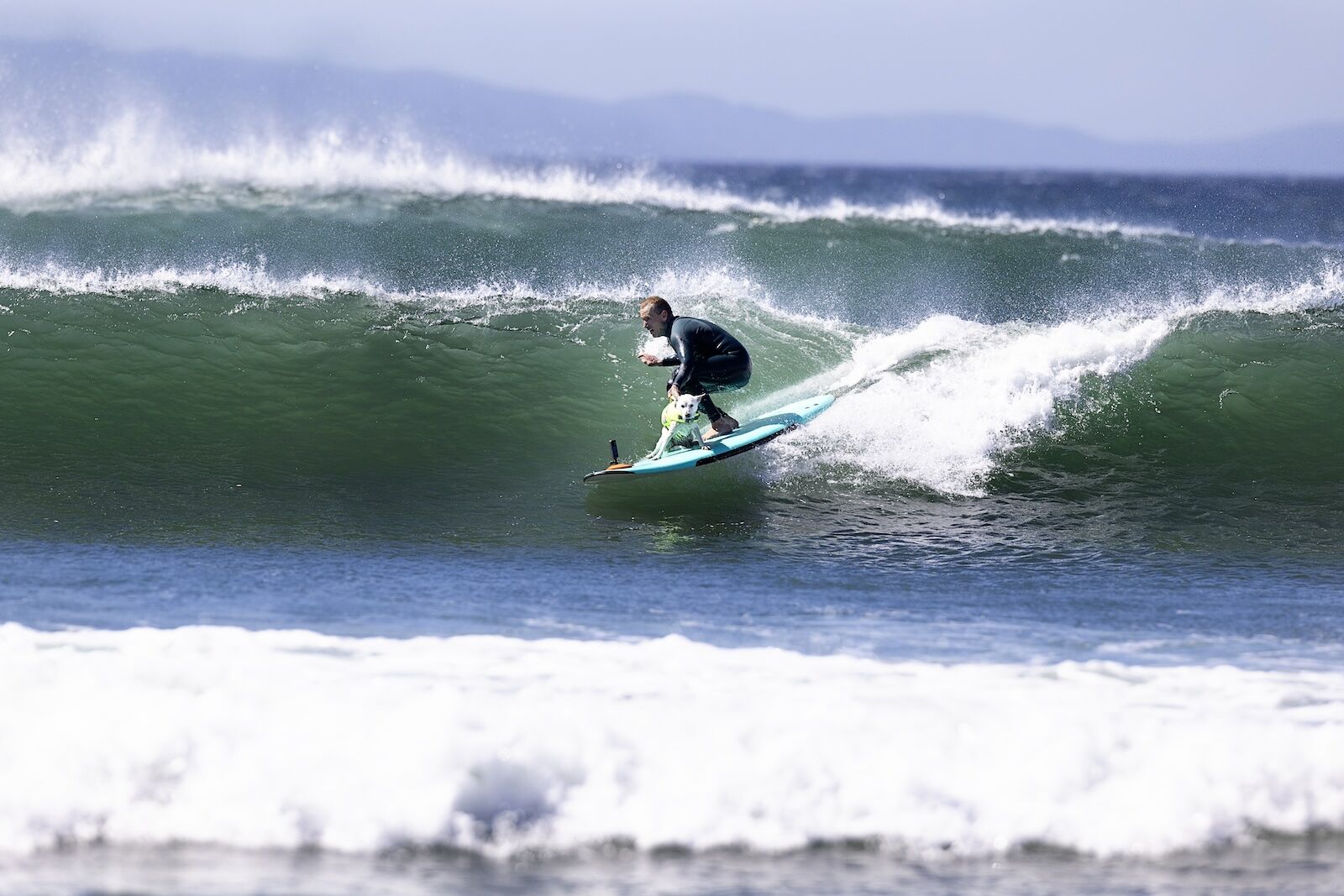 sugar and ryan rustan surfing