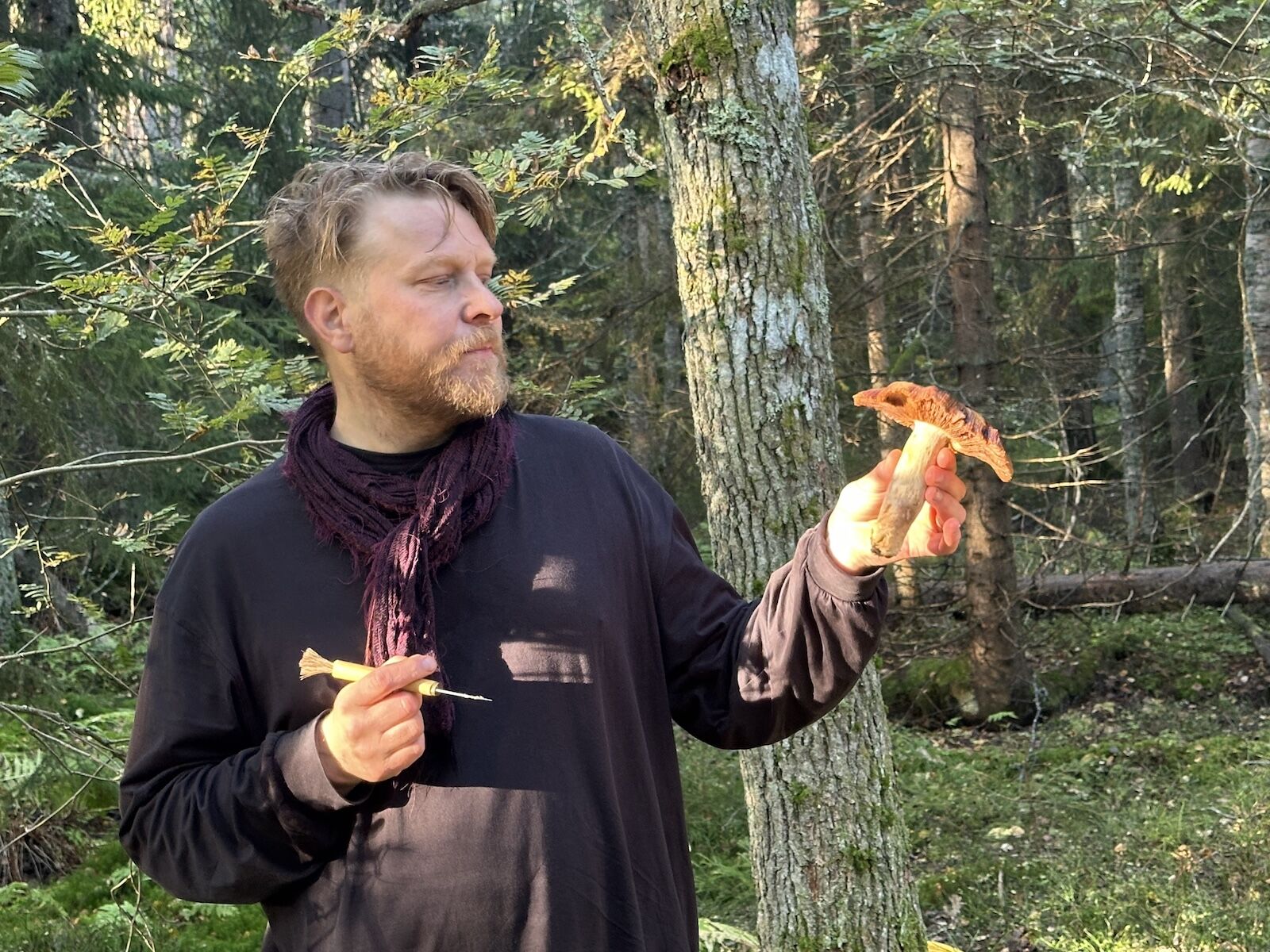 turku mushroom foraging - tallberg