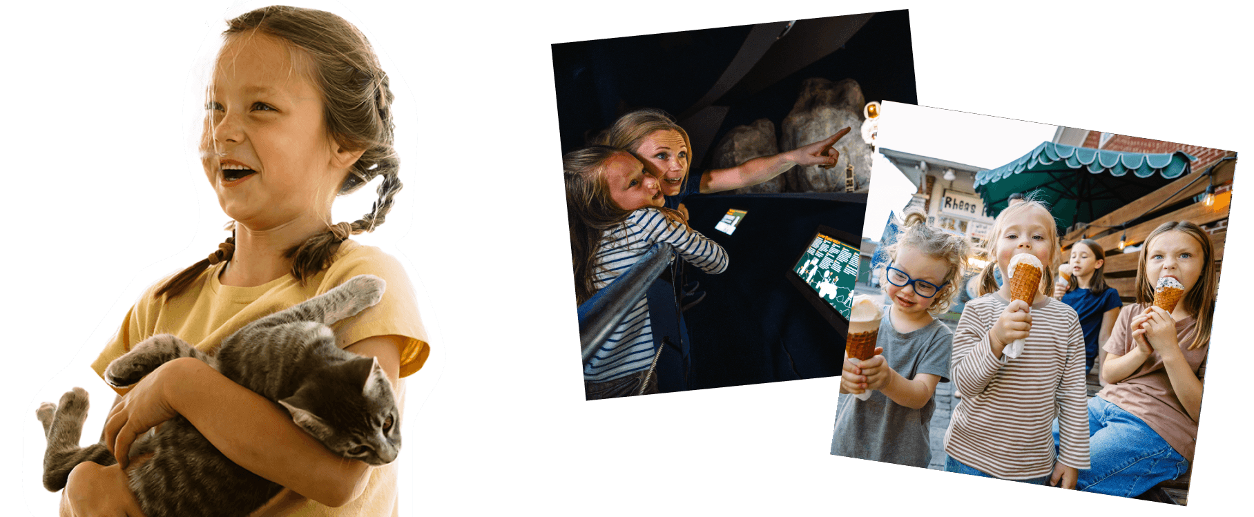 Gulf Coast Region Collage