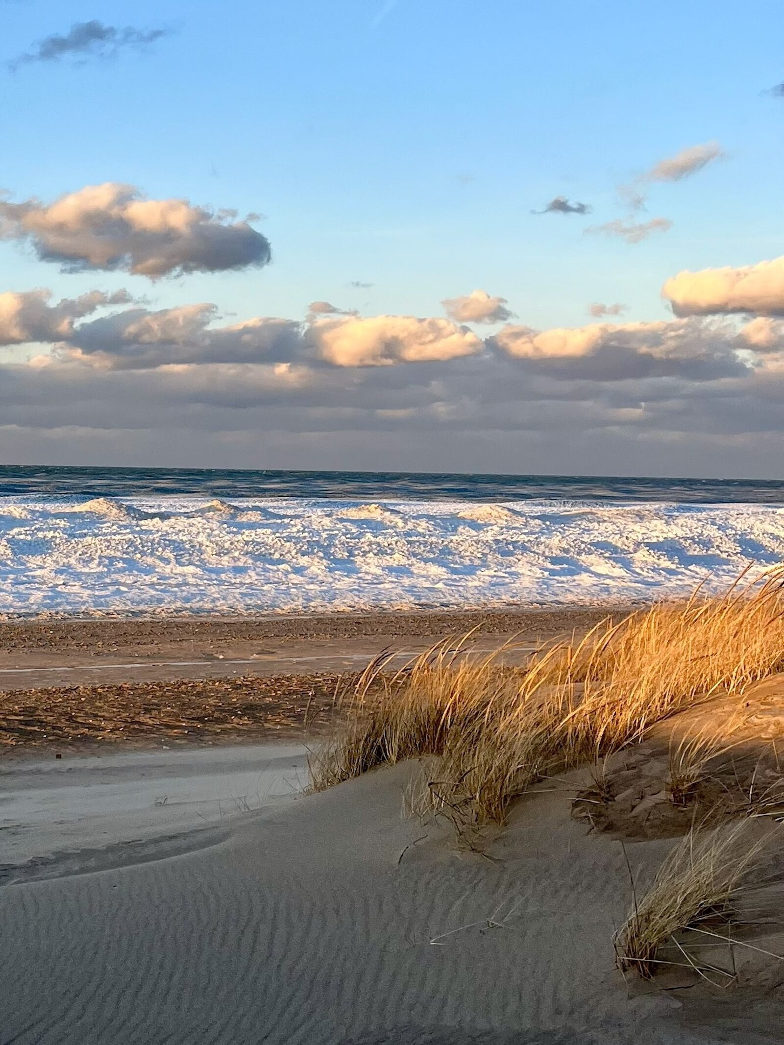 best parks near route 66 - indiana dunes