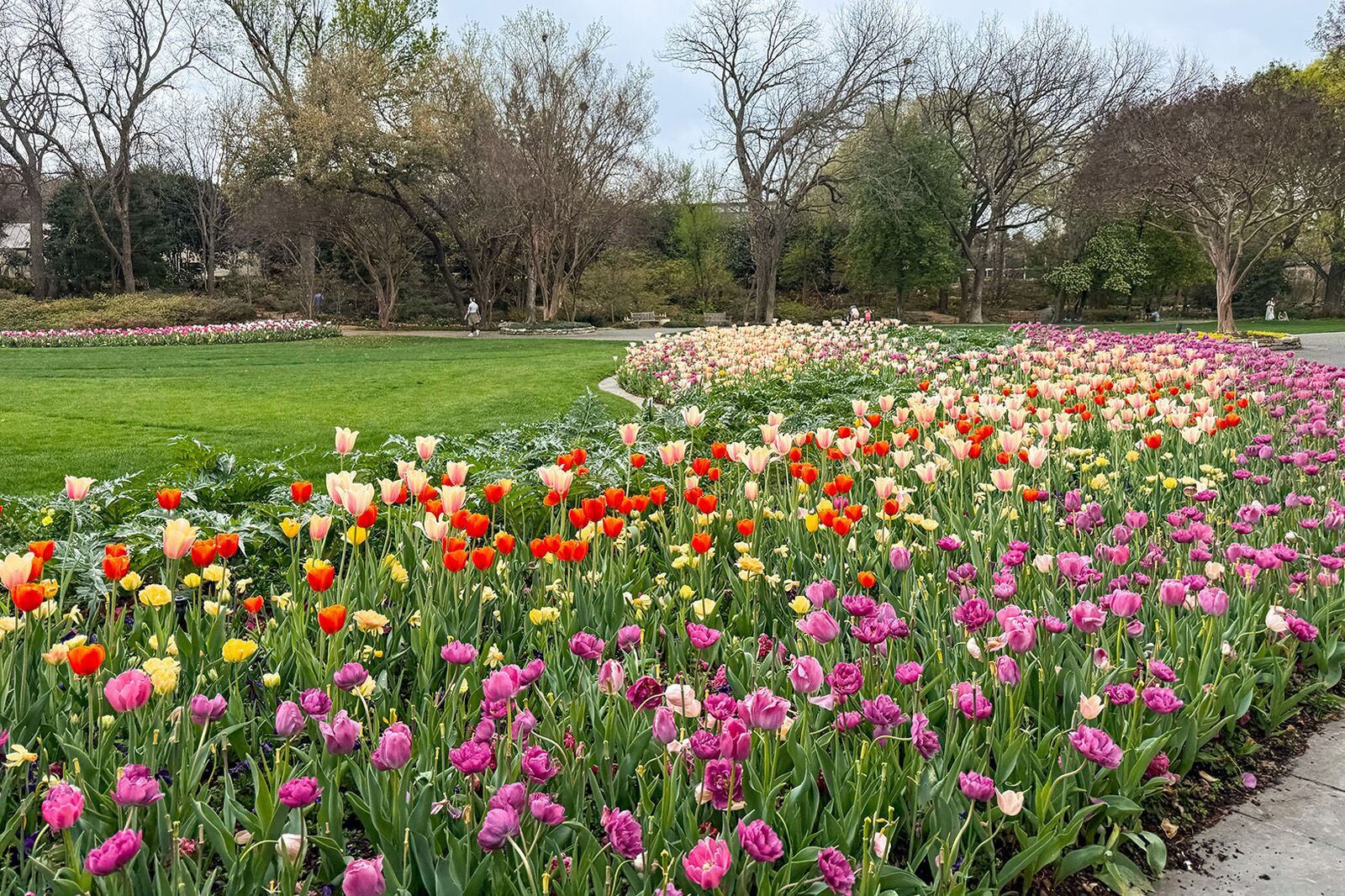 what to do in Dallas World Cup