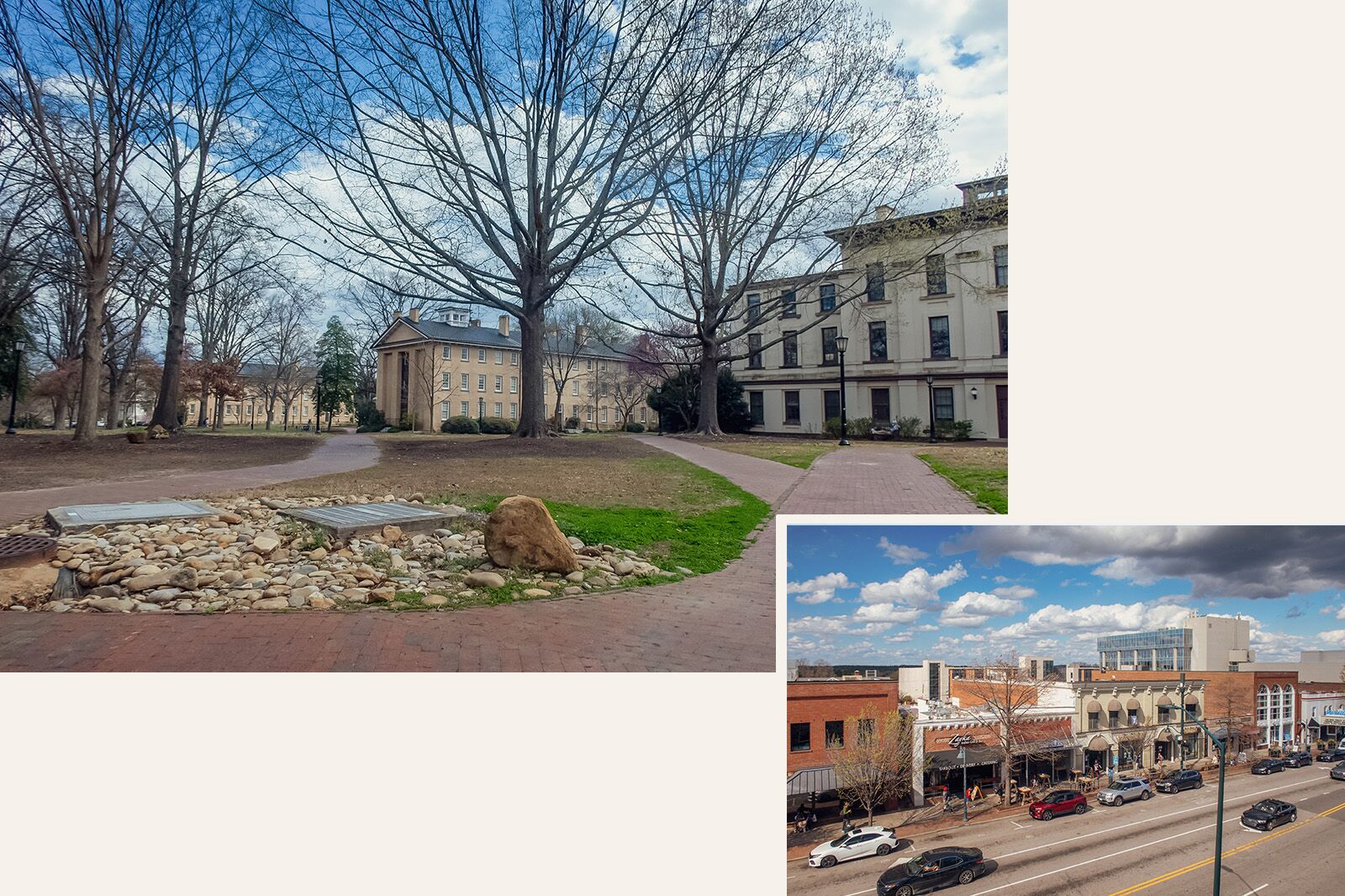 North Carolina film and literary culture