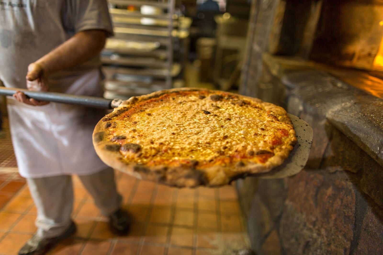 New haven pizza tour - pizza and oven