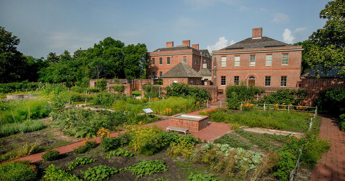 Lights, Camera, Carolina: A Film-Inspired Guide to North Carolina