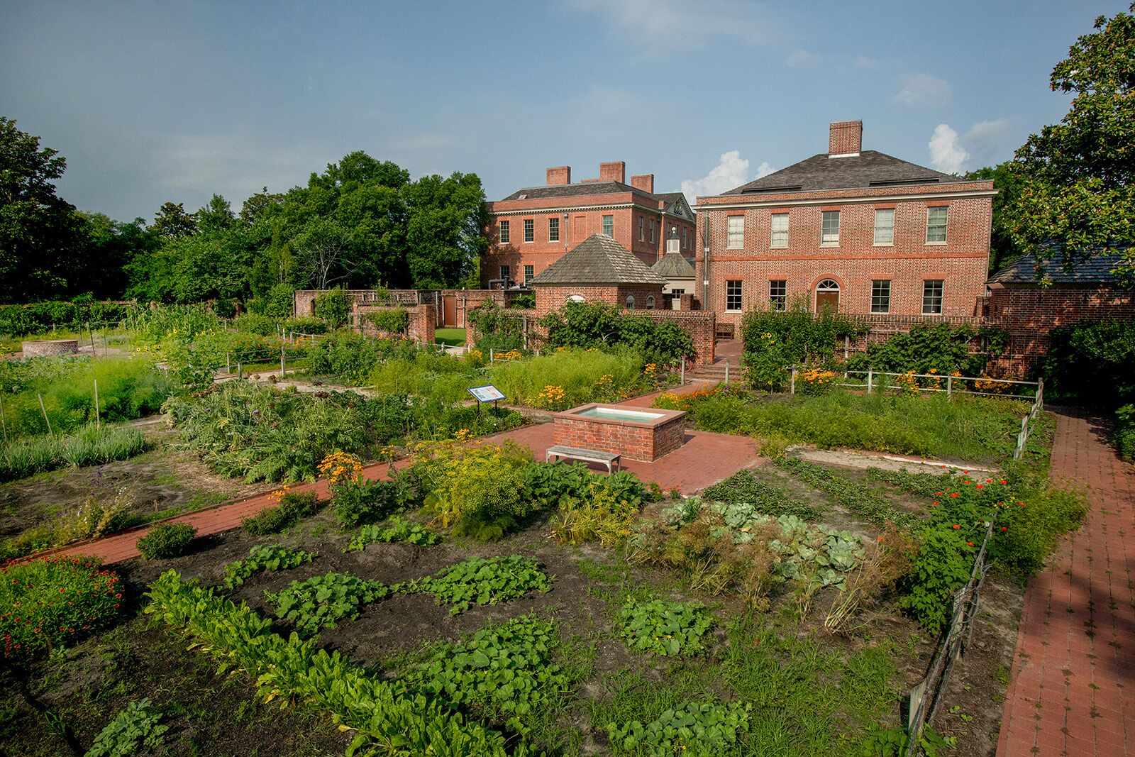 Lights, Camera, Carolina: A Film-Inspired Guide to North Carolina