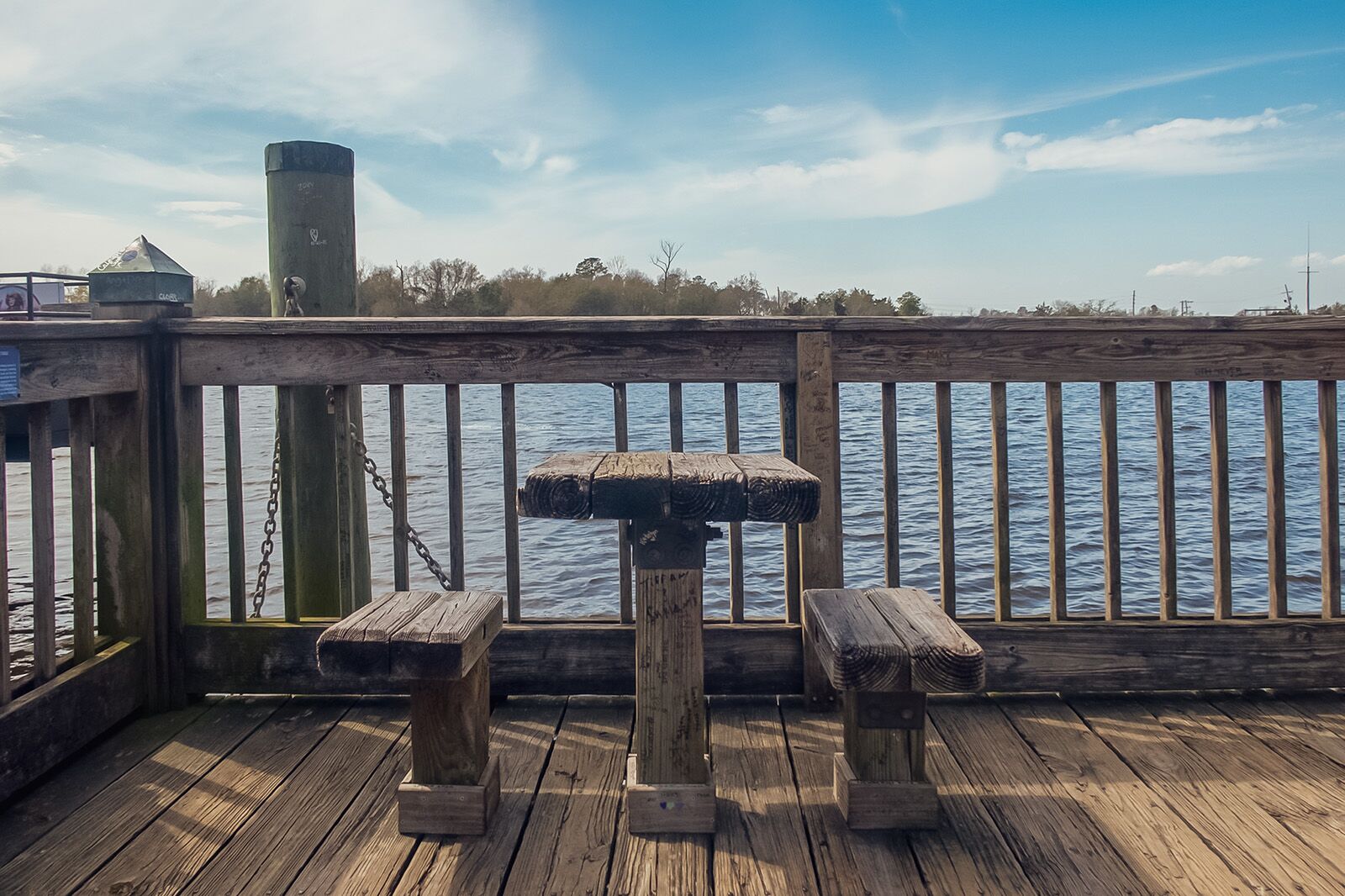 North Carolina film and literary culture