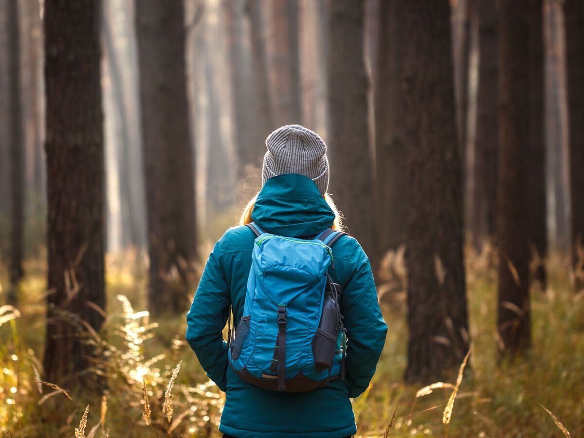 You Don’t Need to Go to Japan to Try Forest Bathing. Just Head to North Carolina.