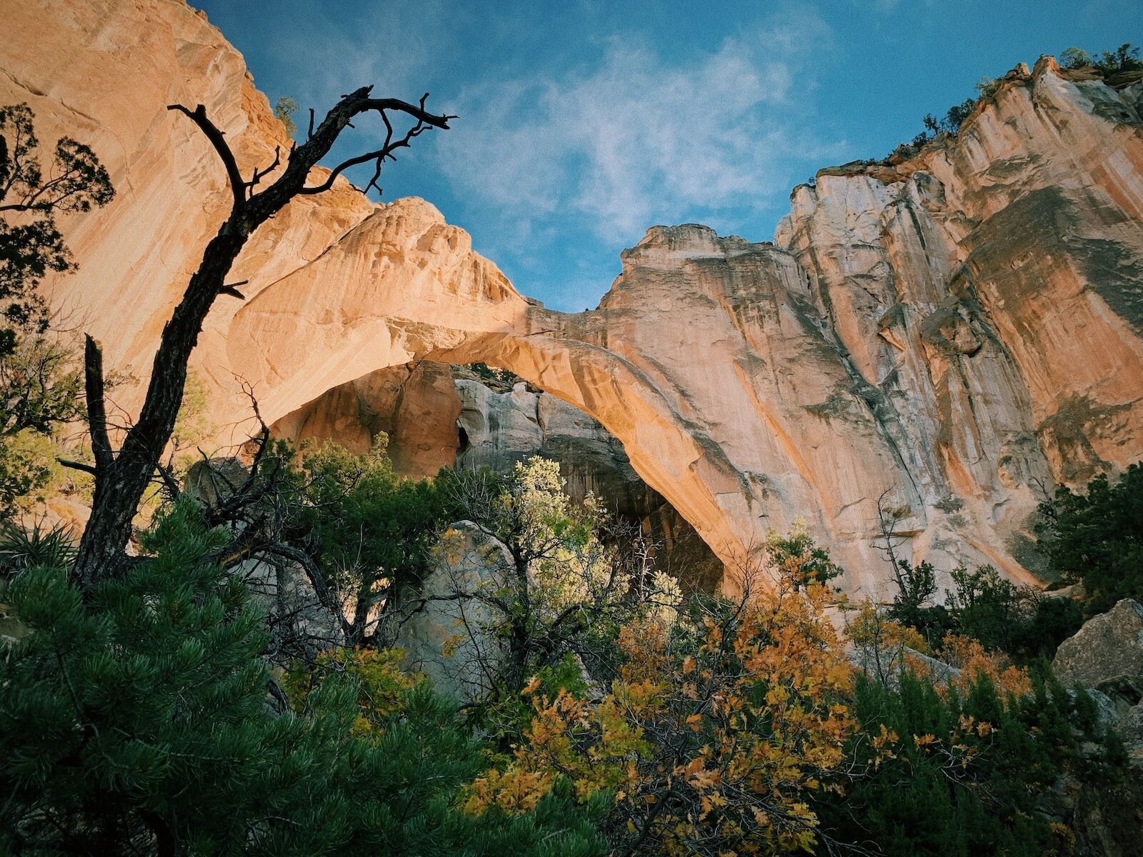 el malpais - camping on route 66
