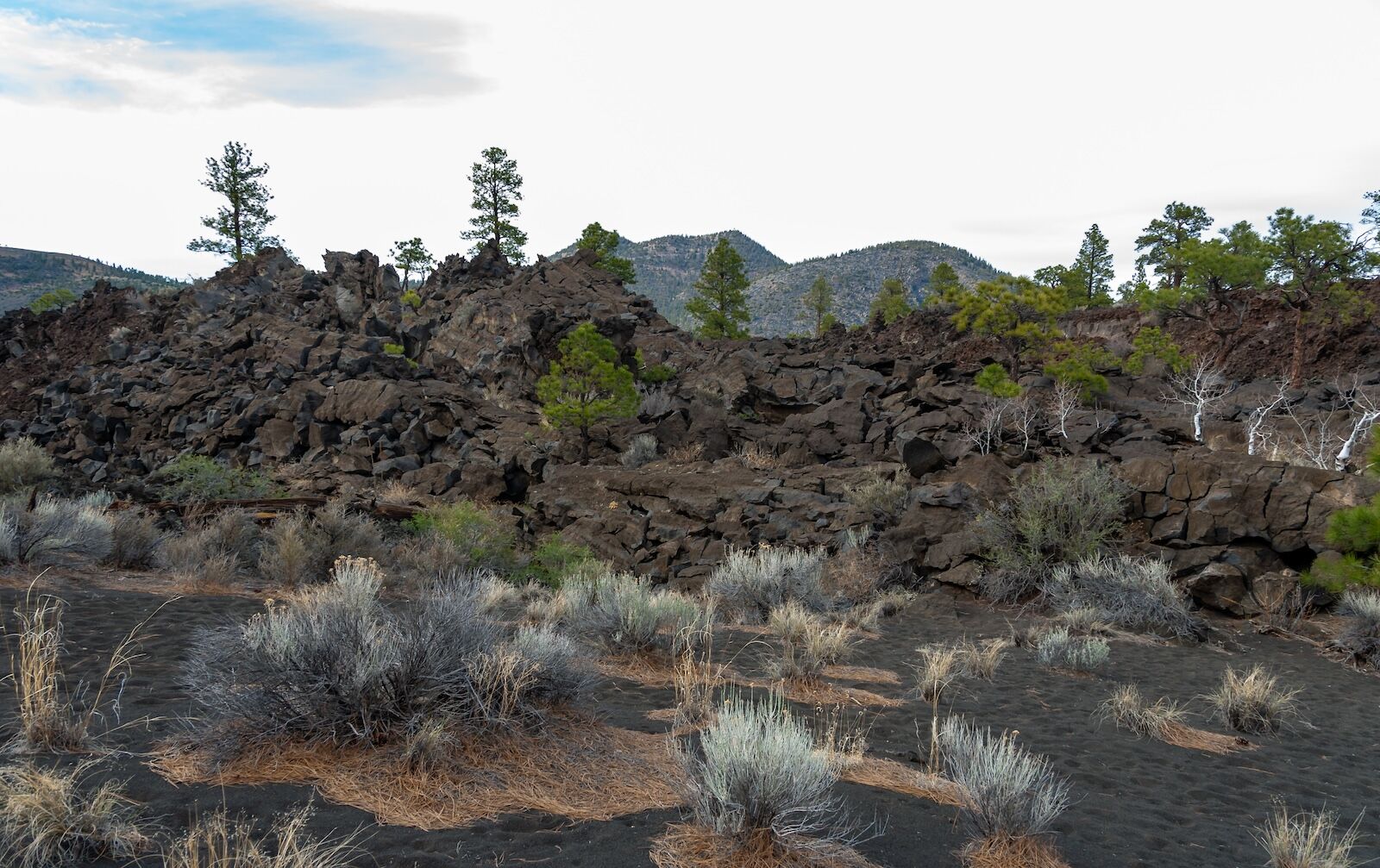 best parks near route 66 - sunset crater
