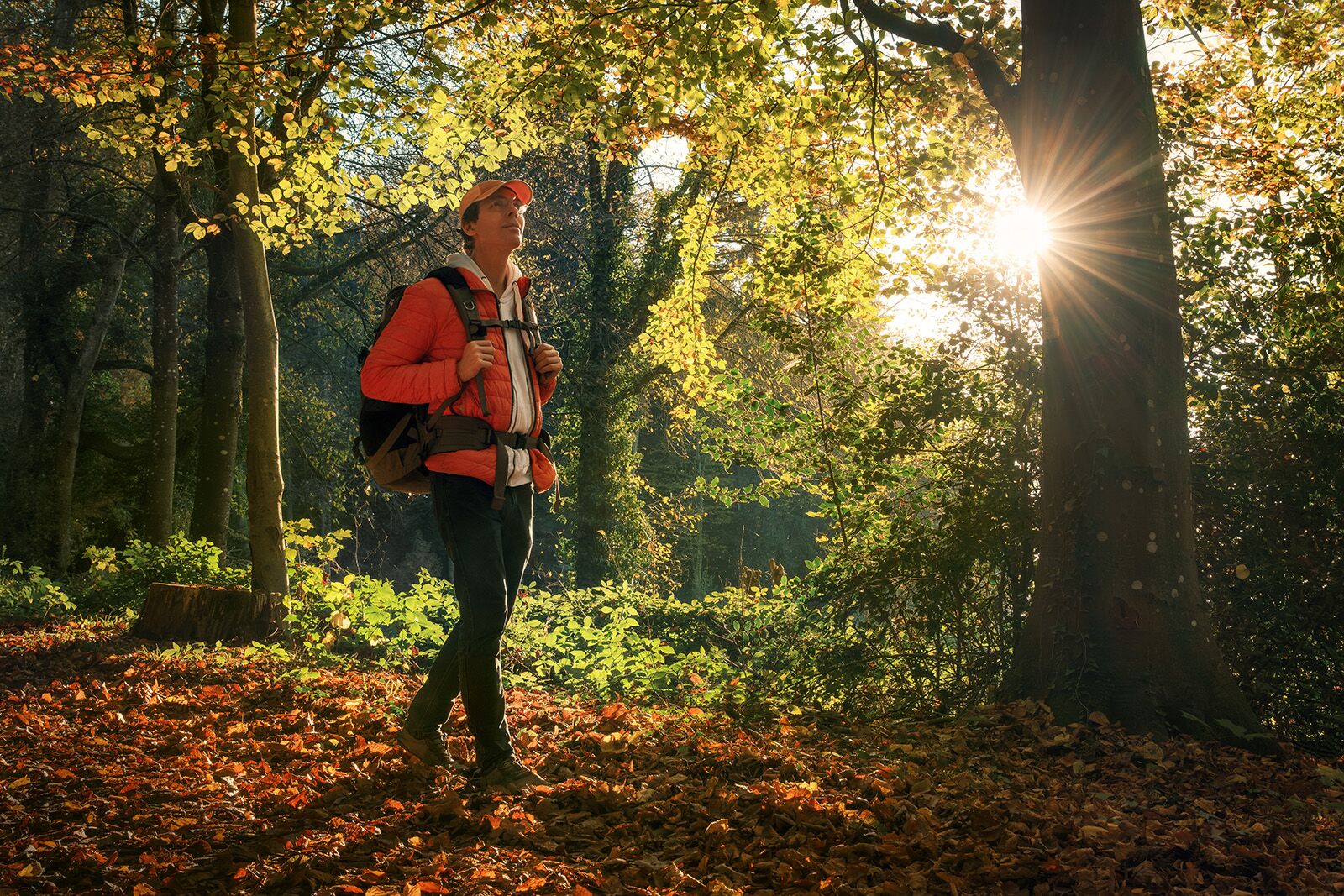 Sylva North Carolina forest bathing