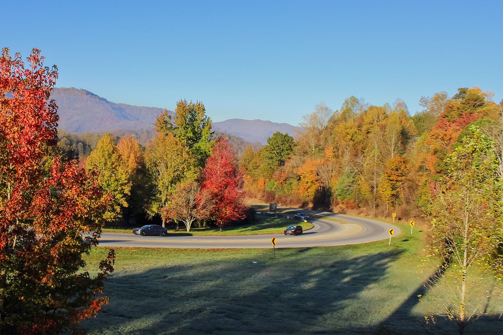 Sylva North Carolina forest bathing