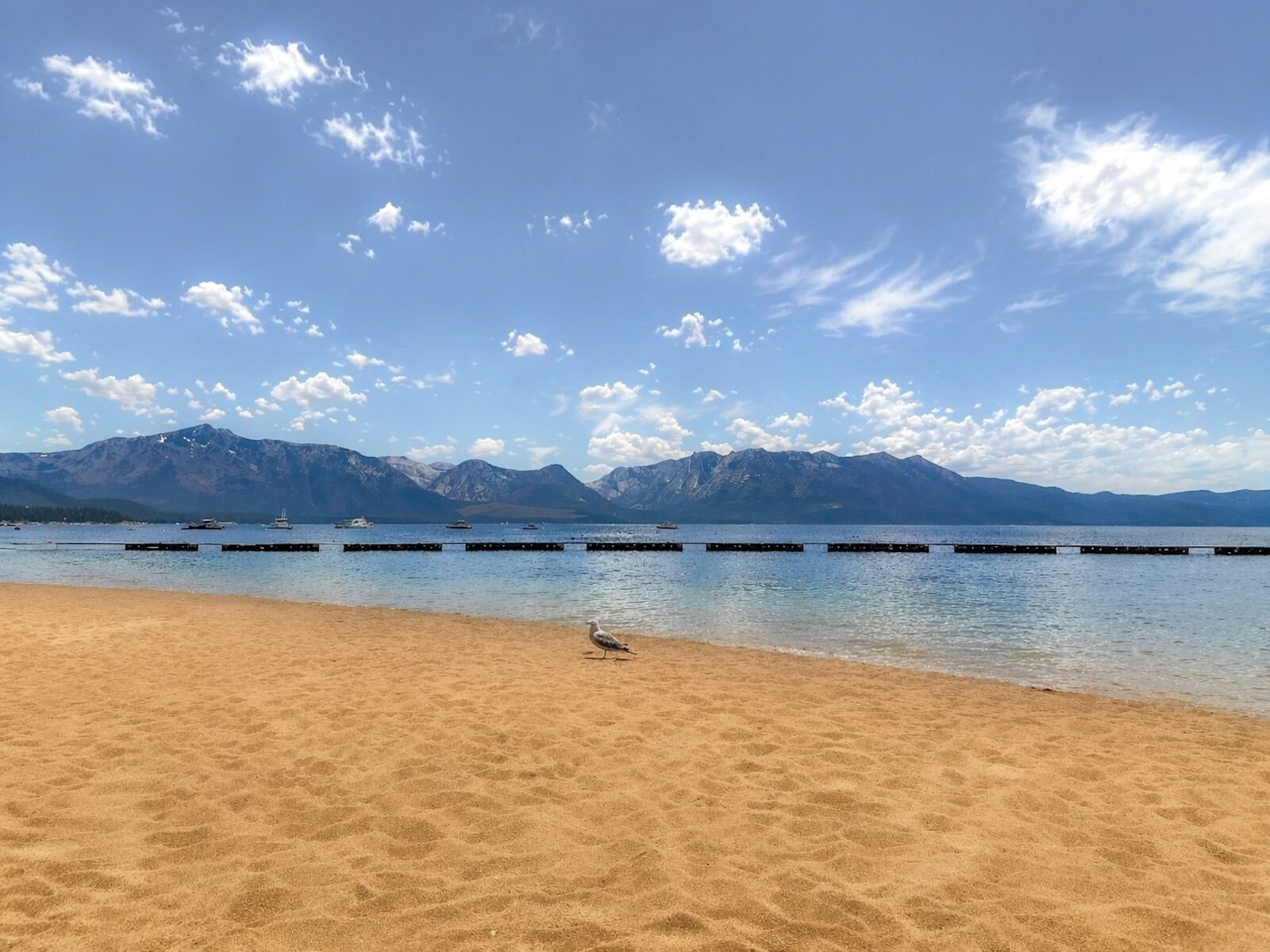 lake tahoe summer trip - lakeside beach