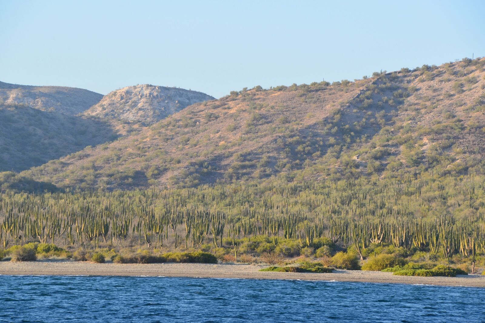 punta colorada in baja california