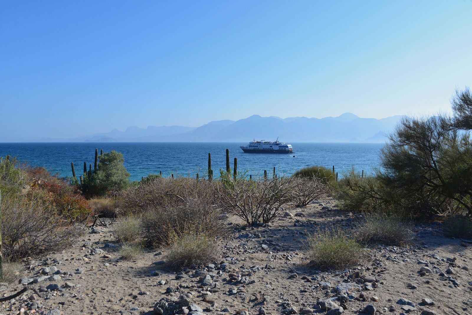 cruise ship off the coast of Baja california