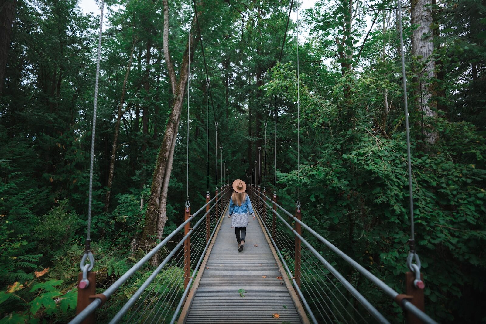 bellevue botanical garden