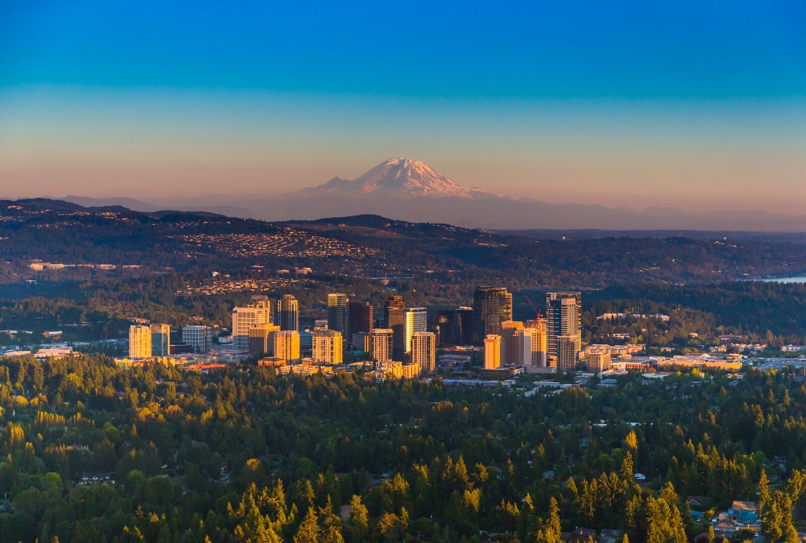 bellevue washington skyline