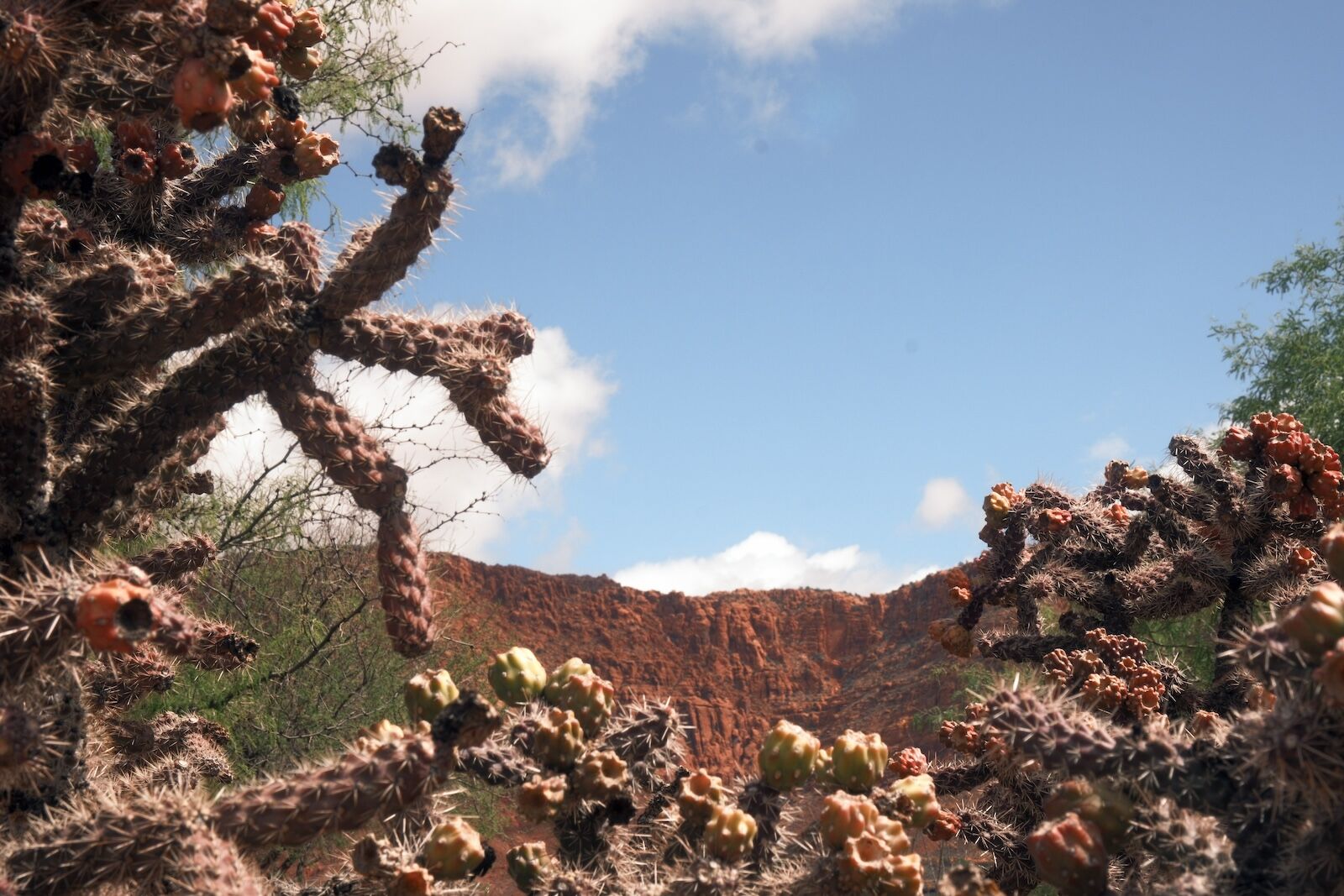 snow canyon state park - writer phto