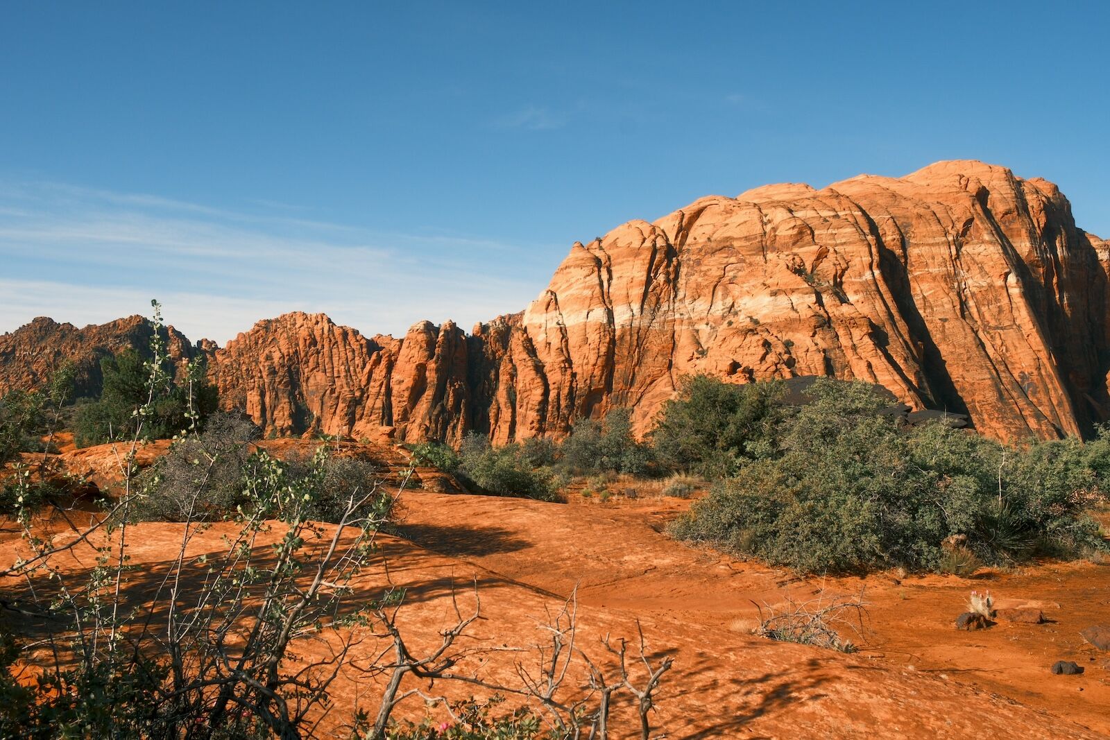 what to do in southern utah - desert view