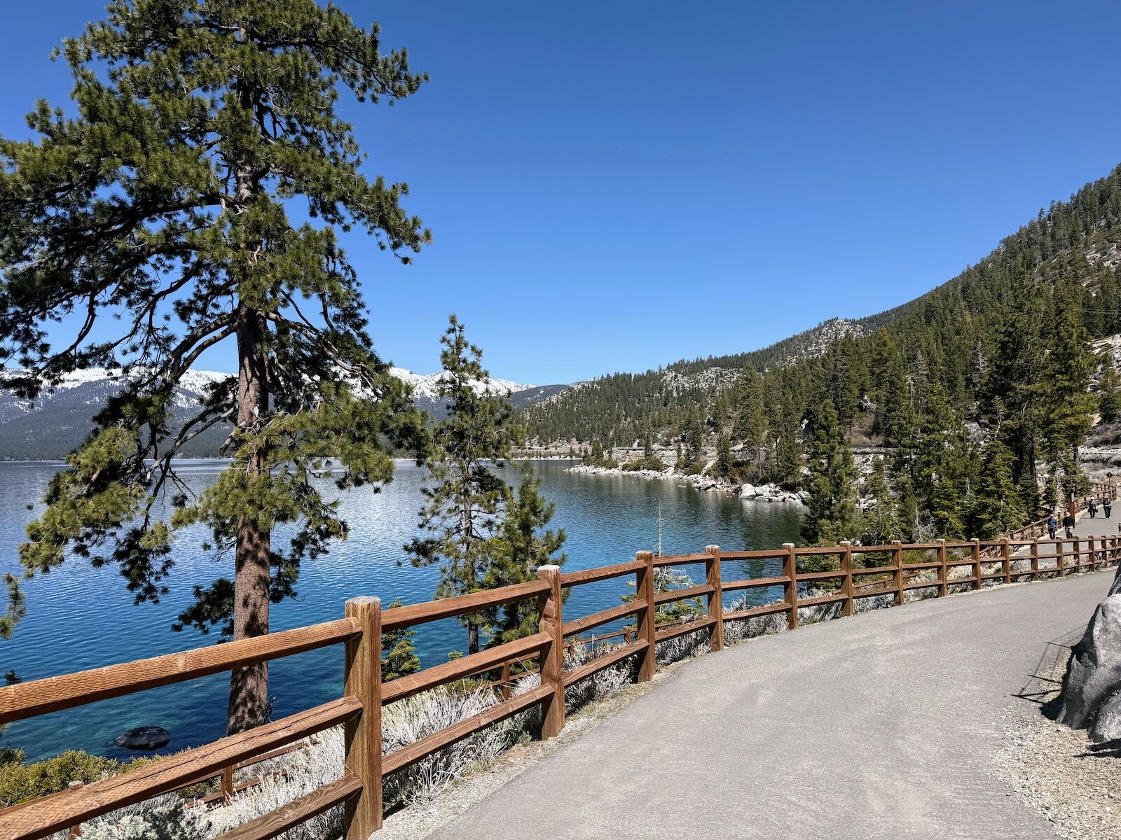 lake tahoe glyphosate/herbicides - east shore trail