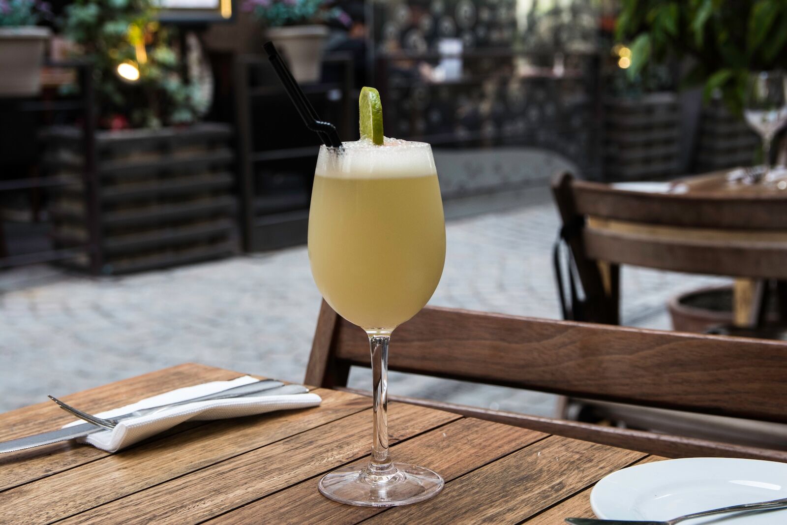pisco sour in chile
