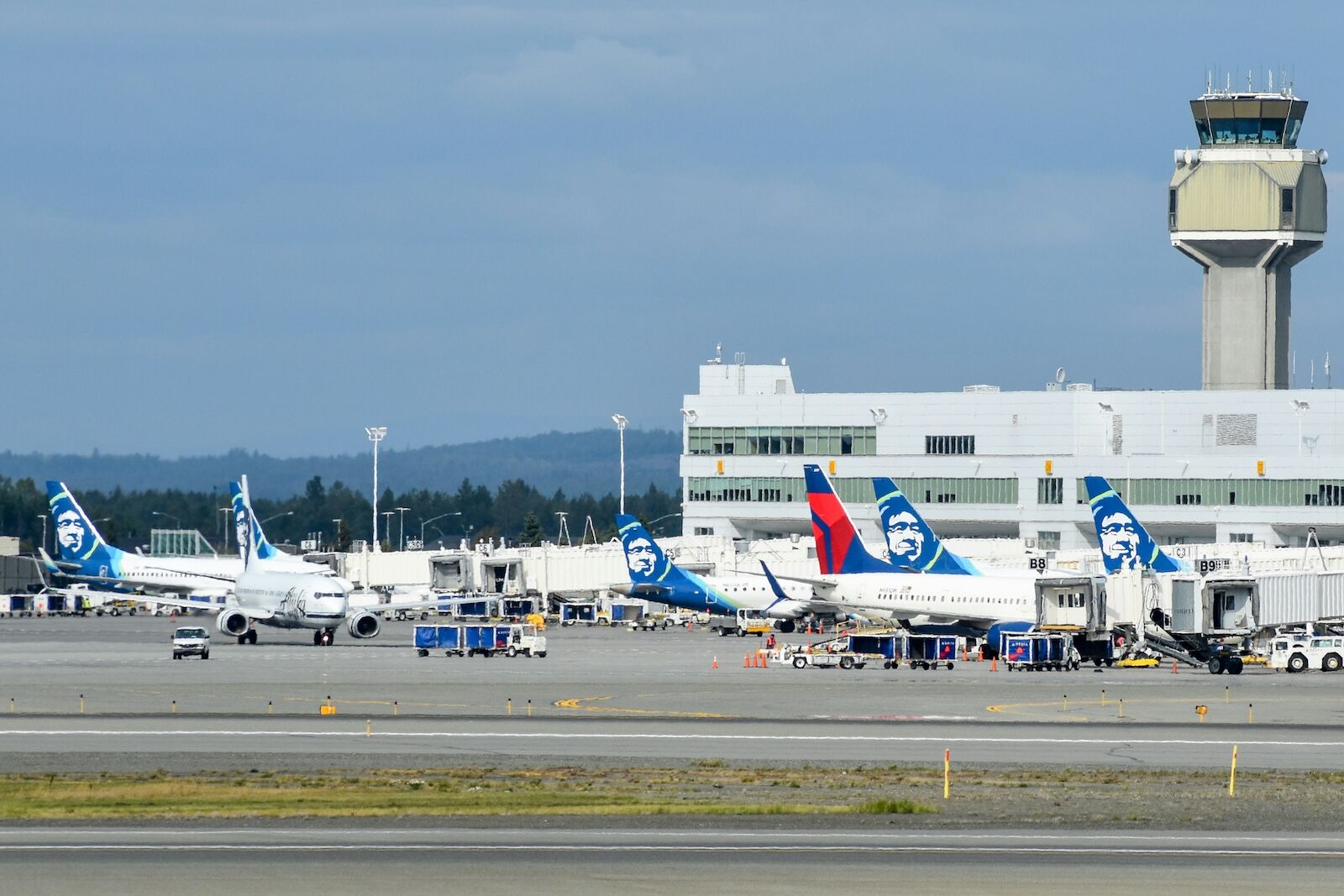 new flights to alaska - ted stevens airport