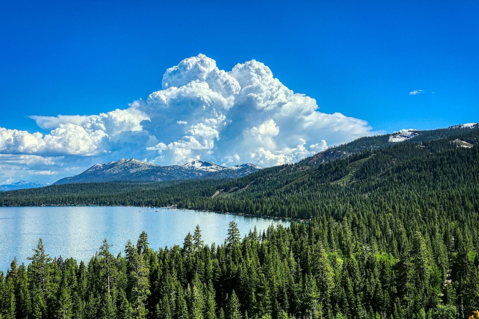 lake tahoe herbicides - tahoe basin