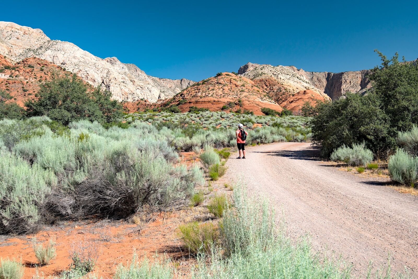 TravelWireDaily — Zion and Beyond: Where to Play, Eat, and Stay in Southern Utah