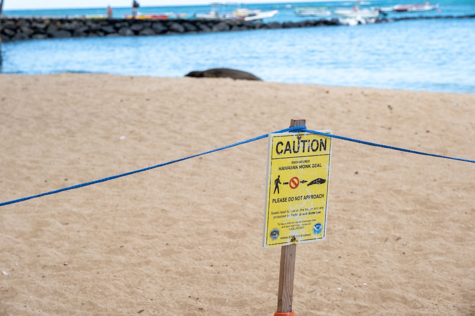 hawaii monk seal rock - protected area sign