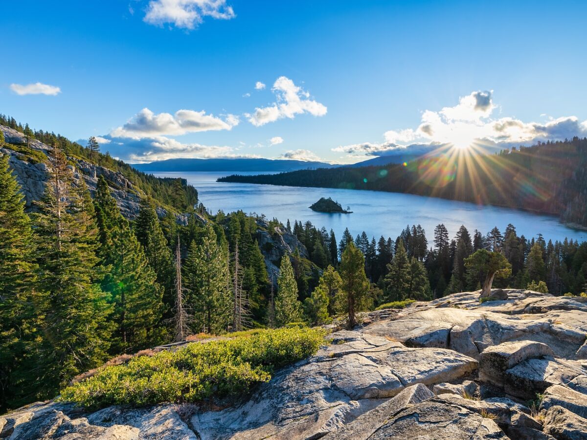 Why the Forest Service Wants to Spray a Chemical Herbicide Near Lake Tahoe