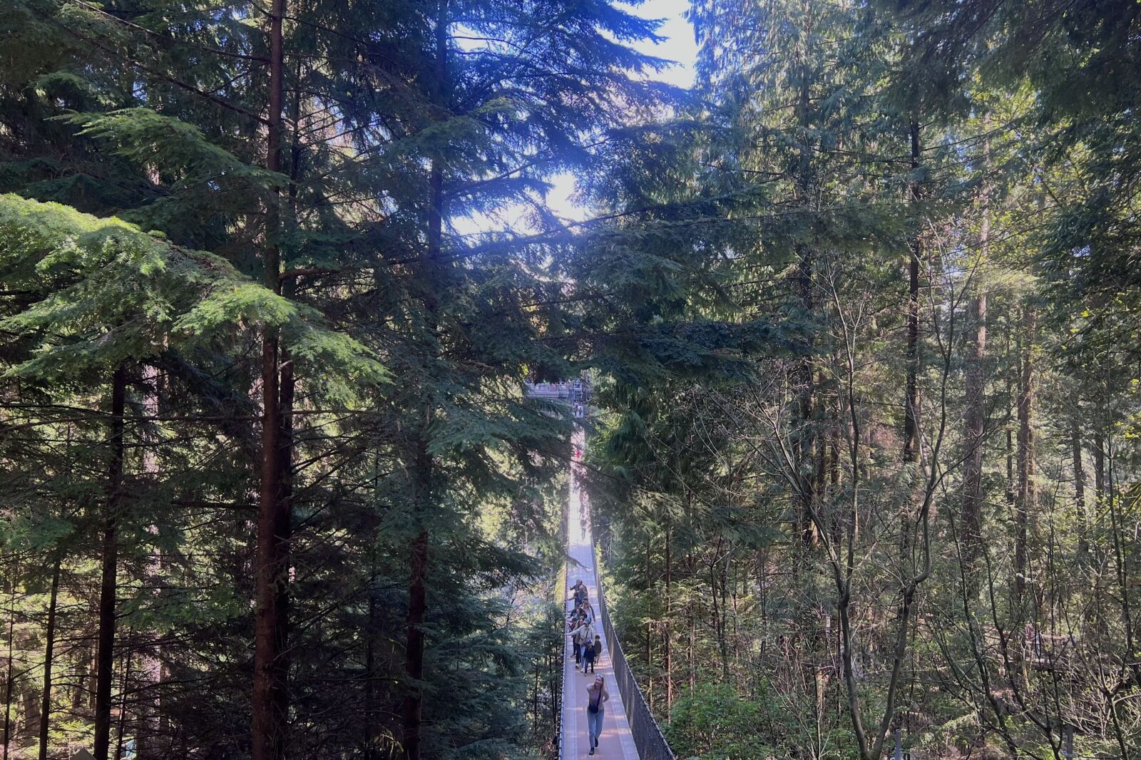  Capilano Suspension Bridge Park Vancouver