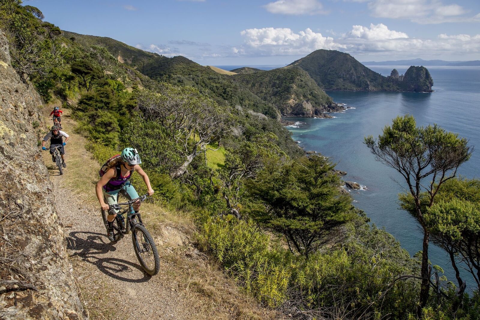 new zealand conservation bill - fletcher bay