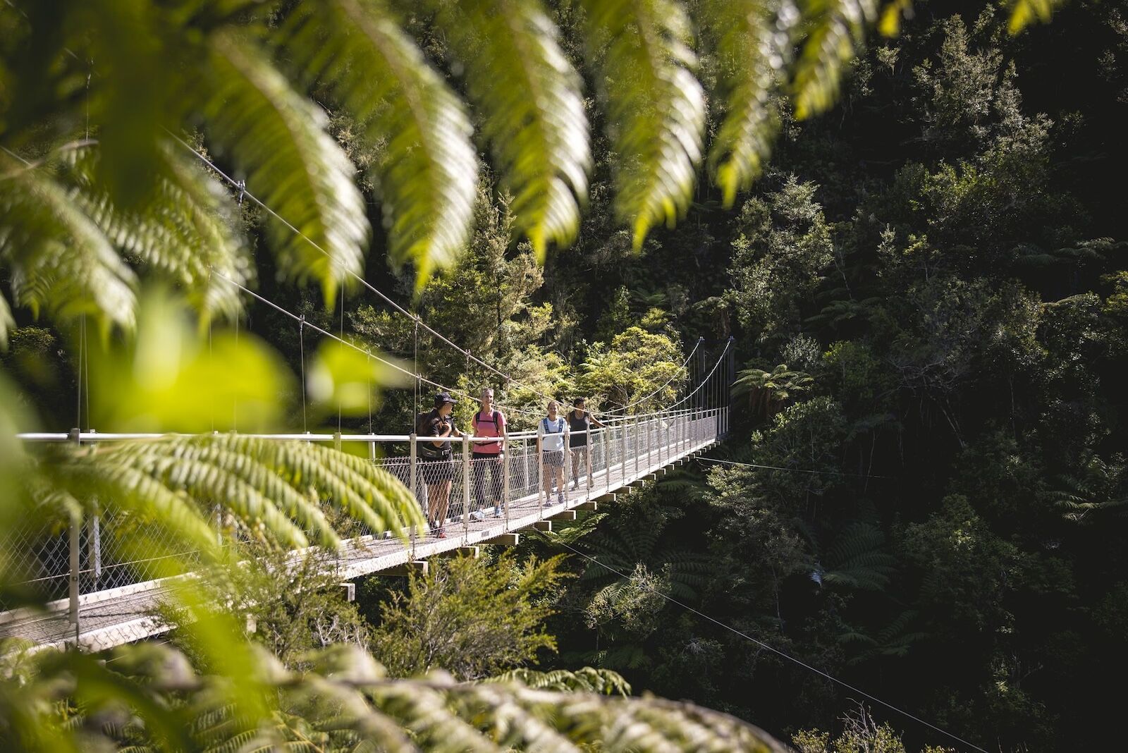 new zealand conservation bill - suspensino bridge