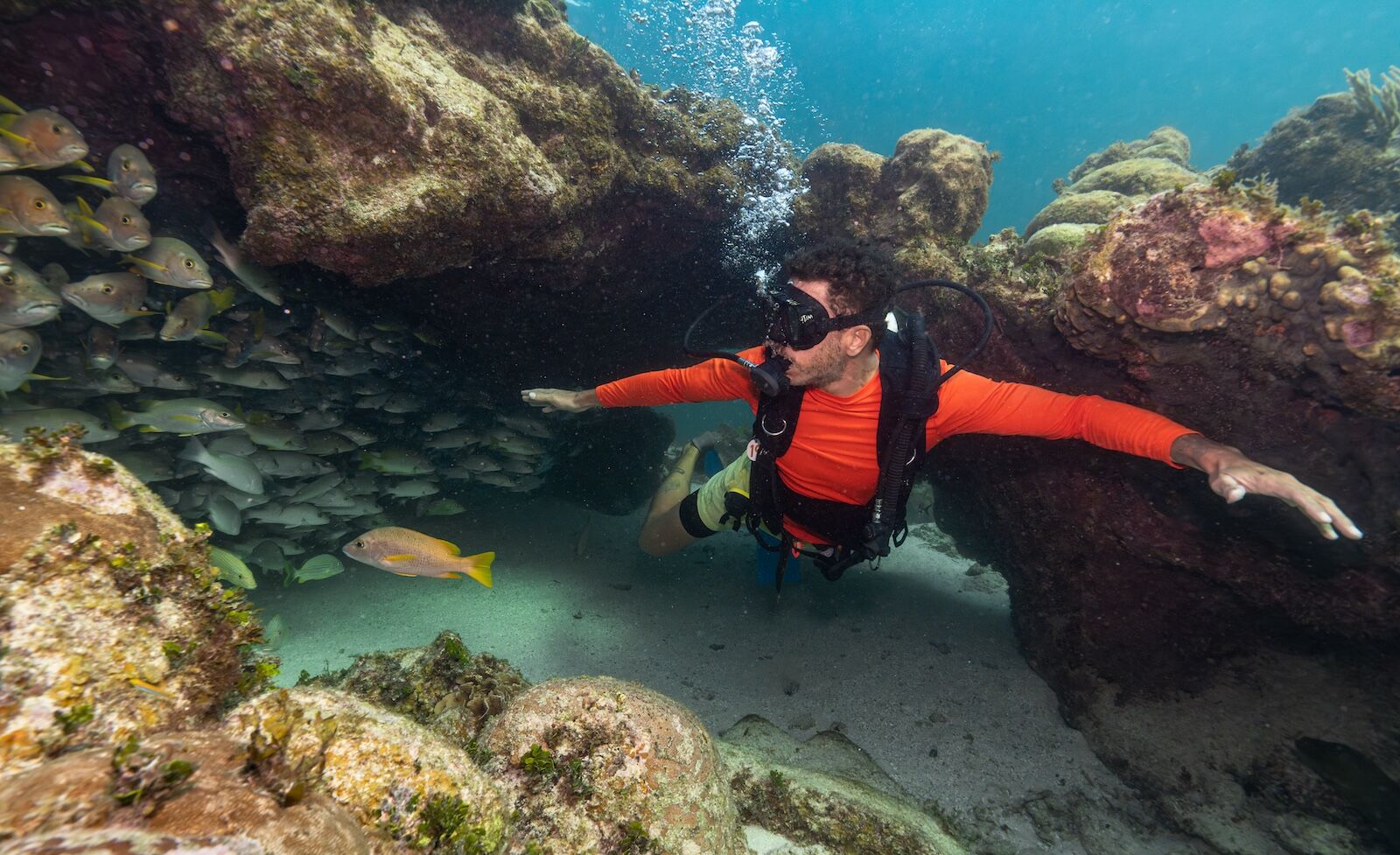belize reef conservation - hol chan 