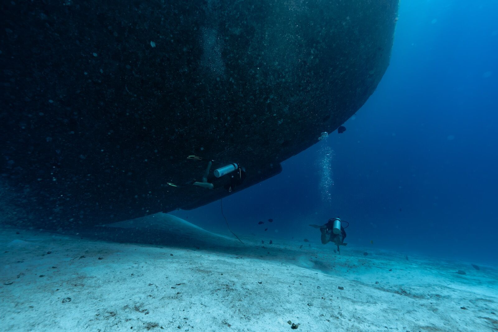 belize reef conservation - divers on the wit shipwreck