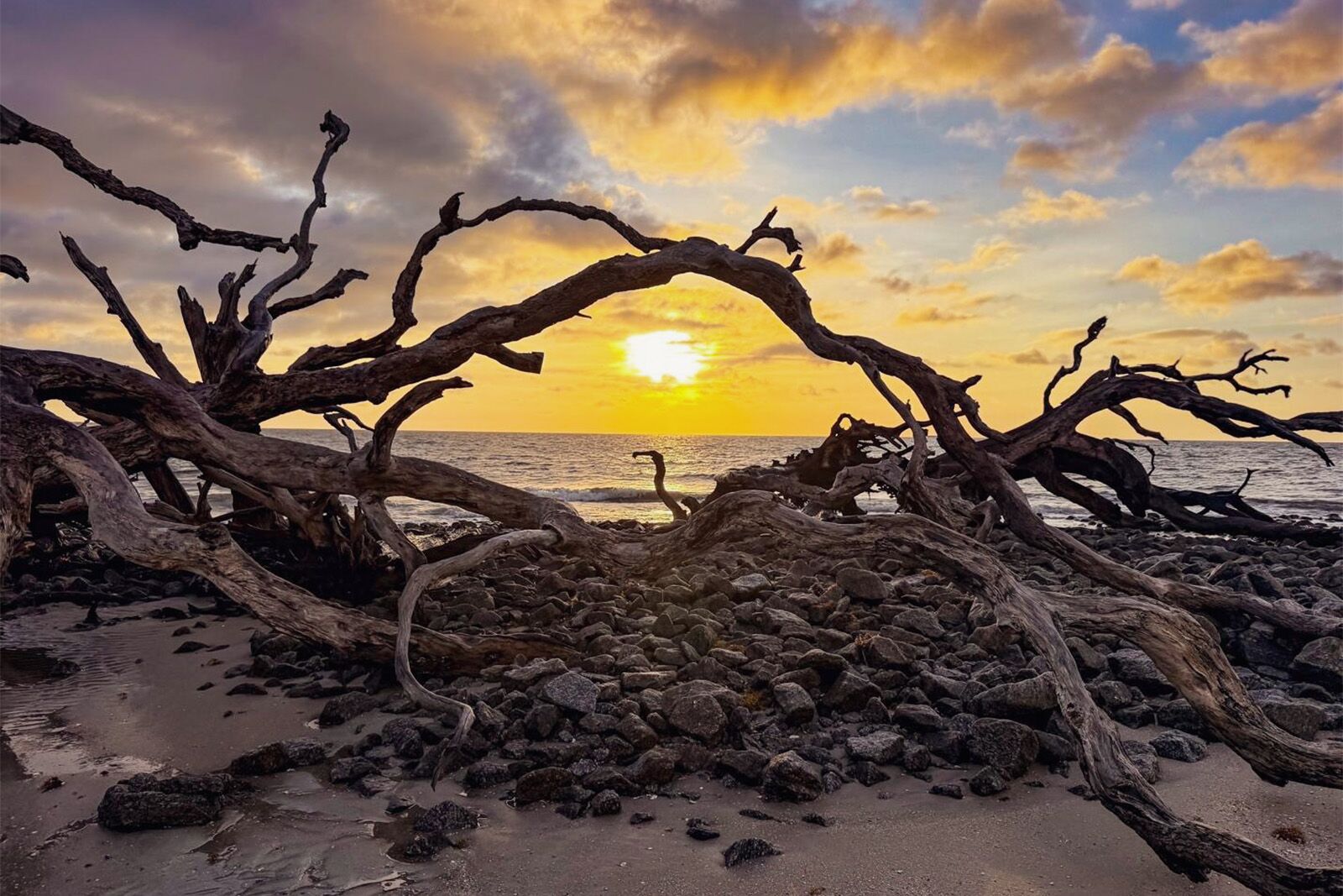 jekyll island club resort