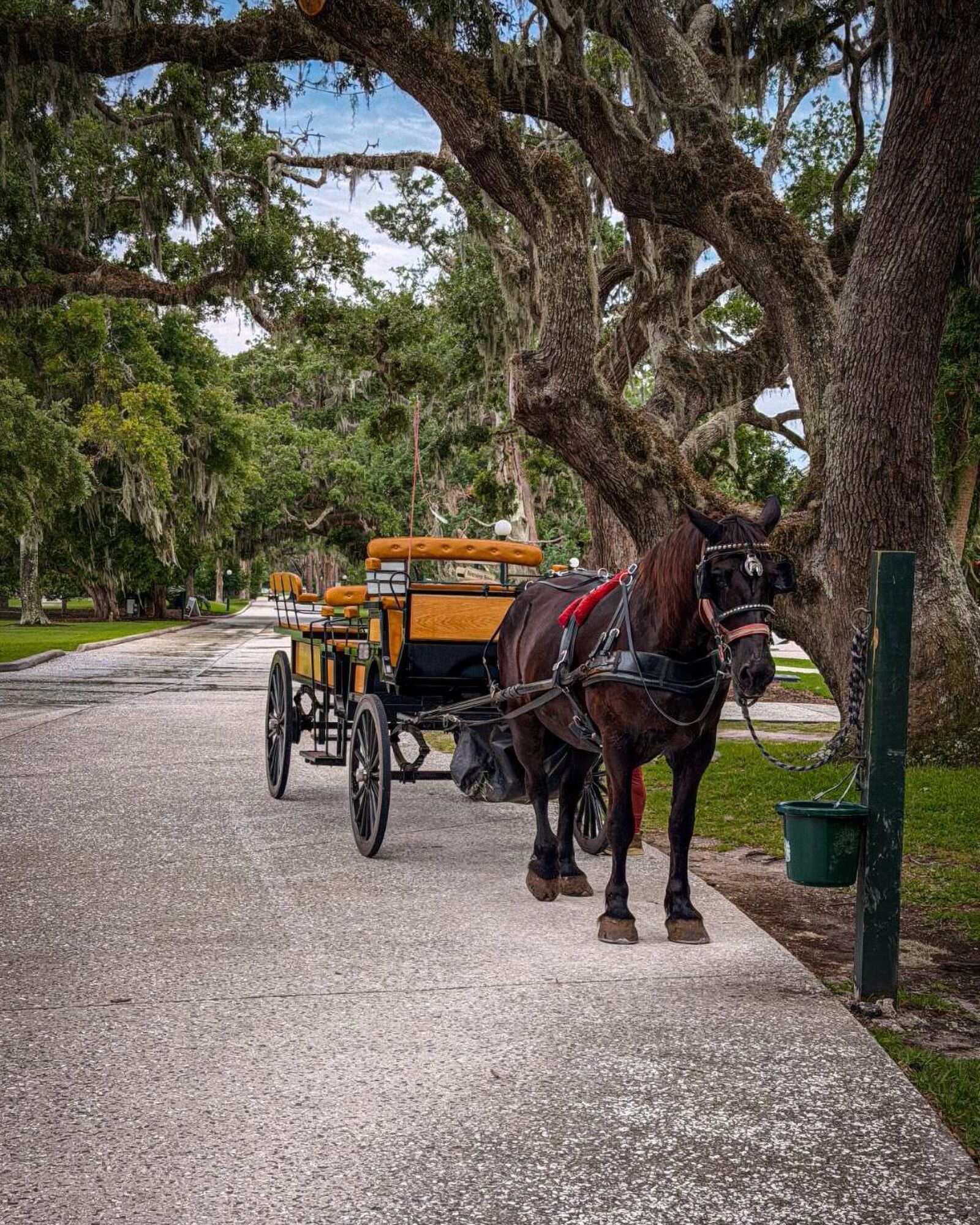 jekyll island club resort