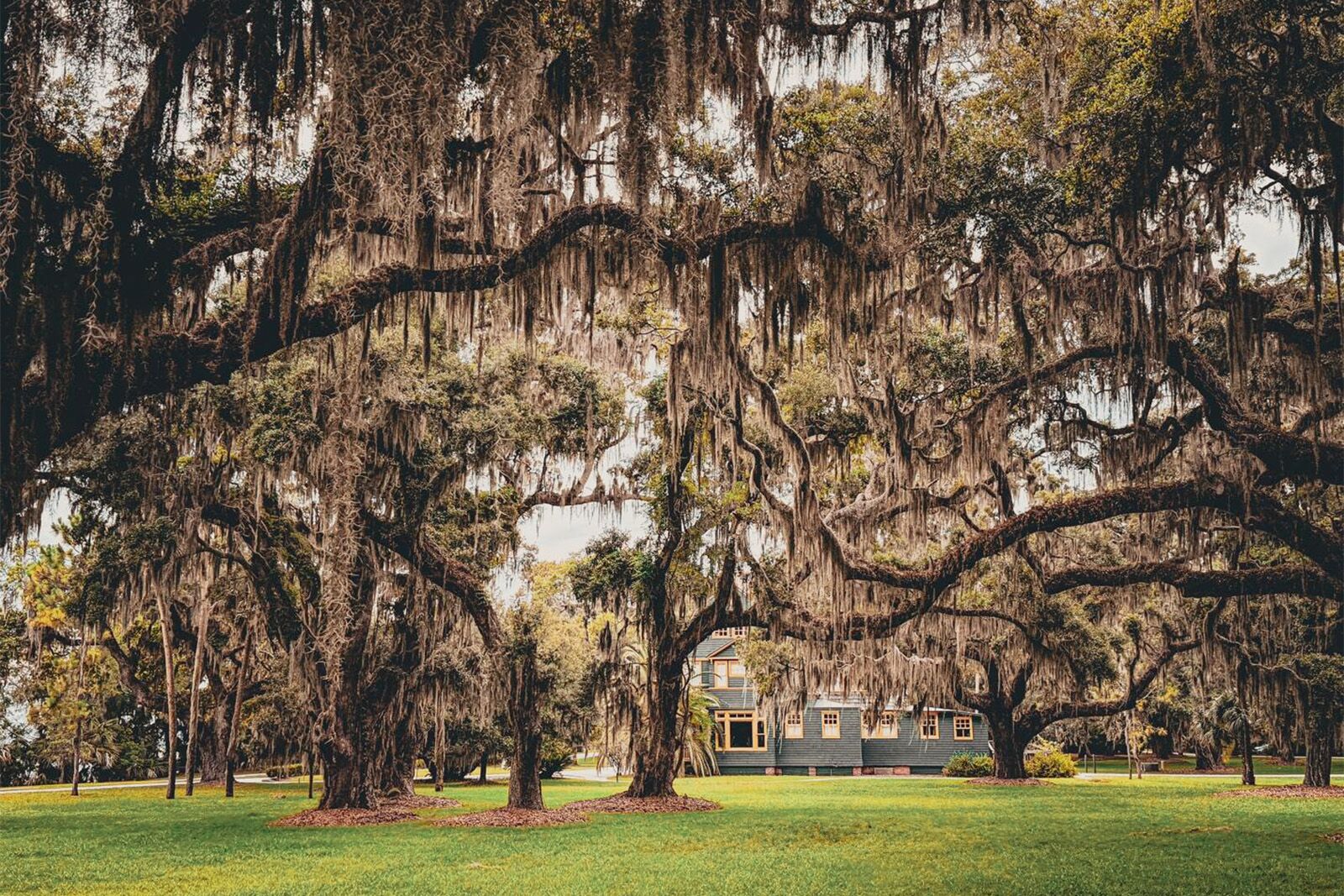 jekyll island club resort