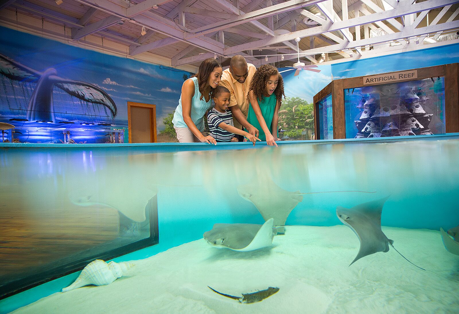 things to do in daytona beach for families
