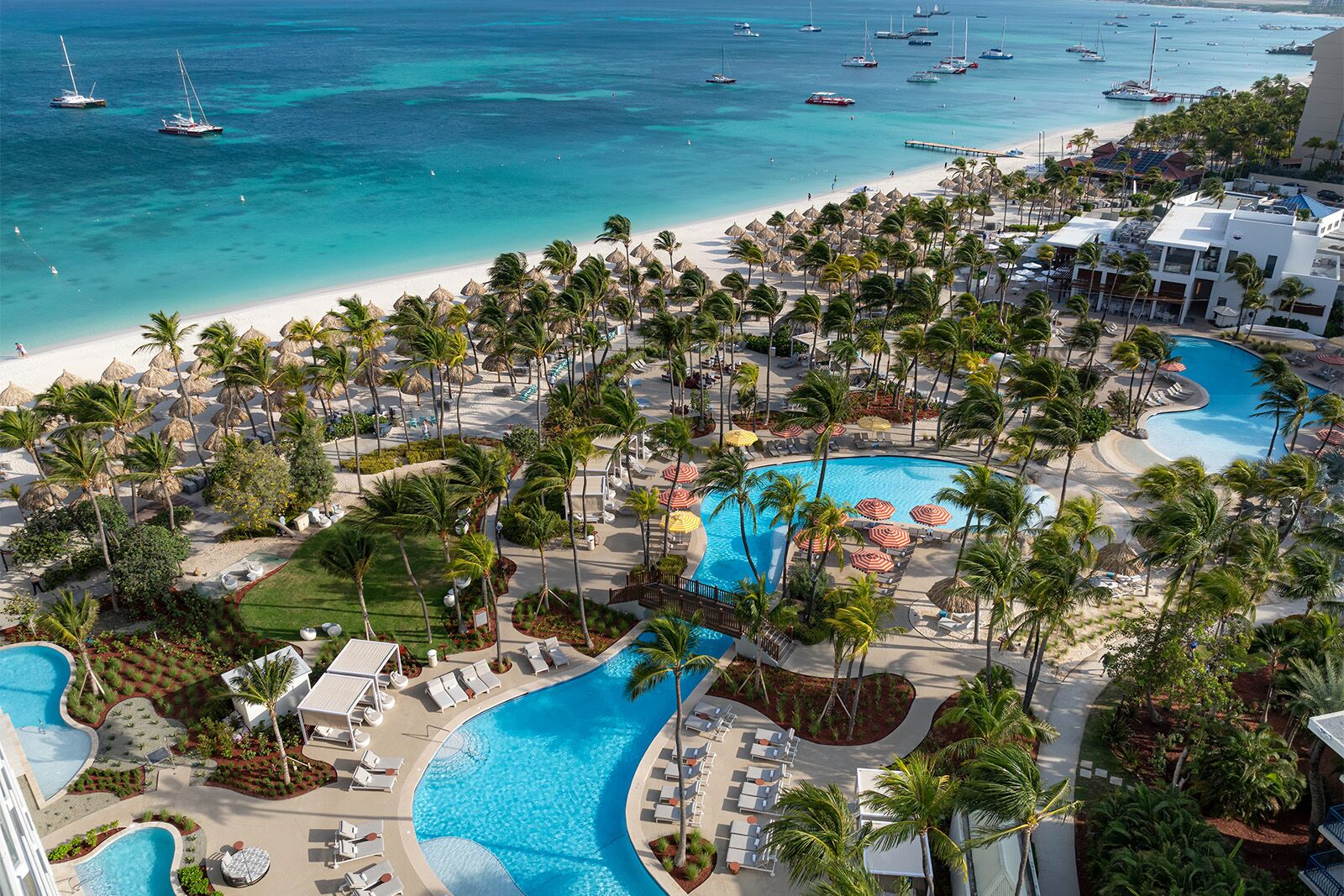 the westerly aruba