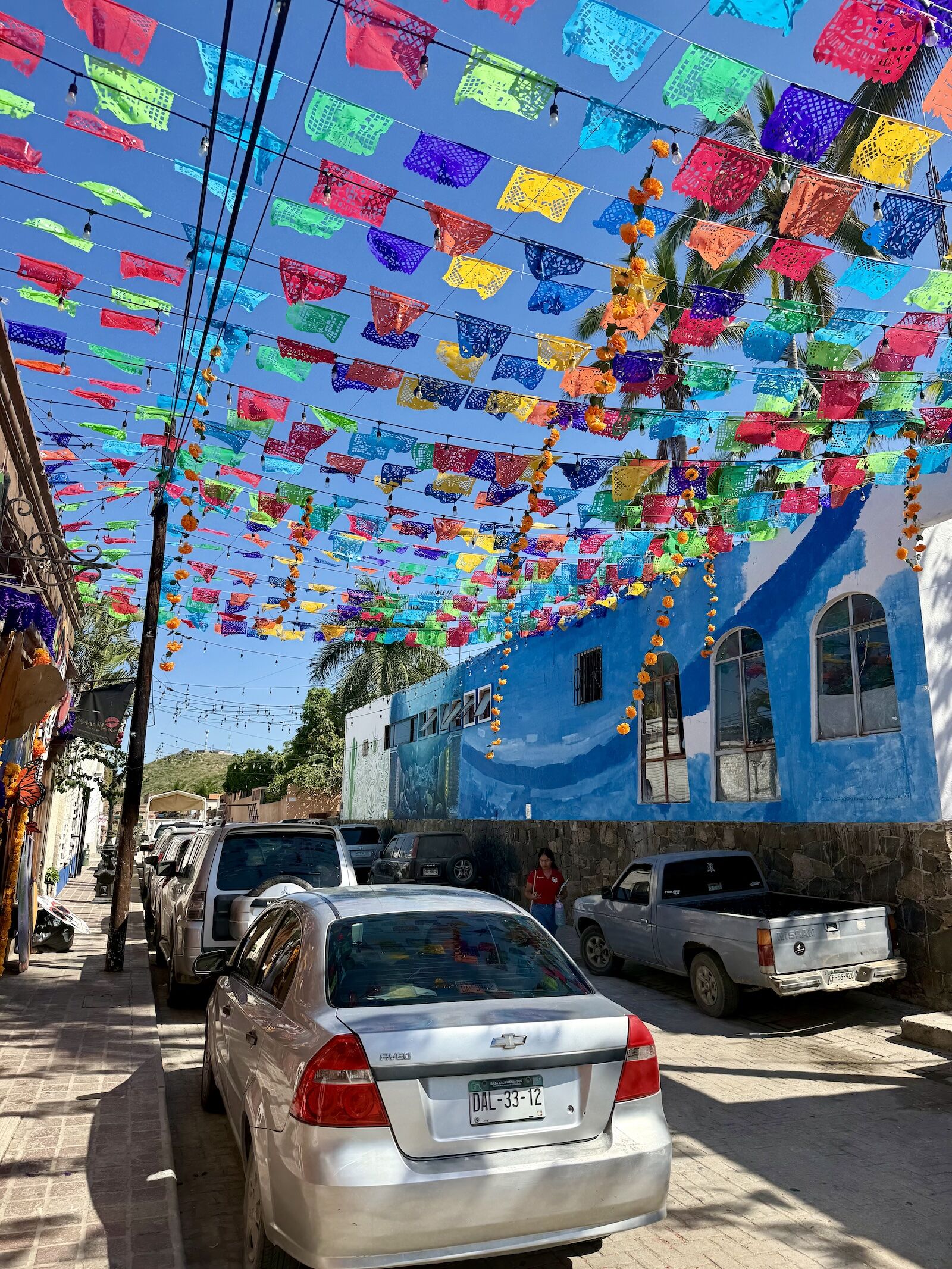 colorful flags in todos santos