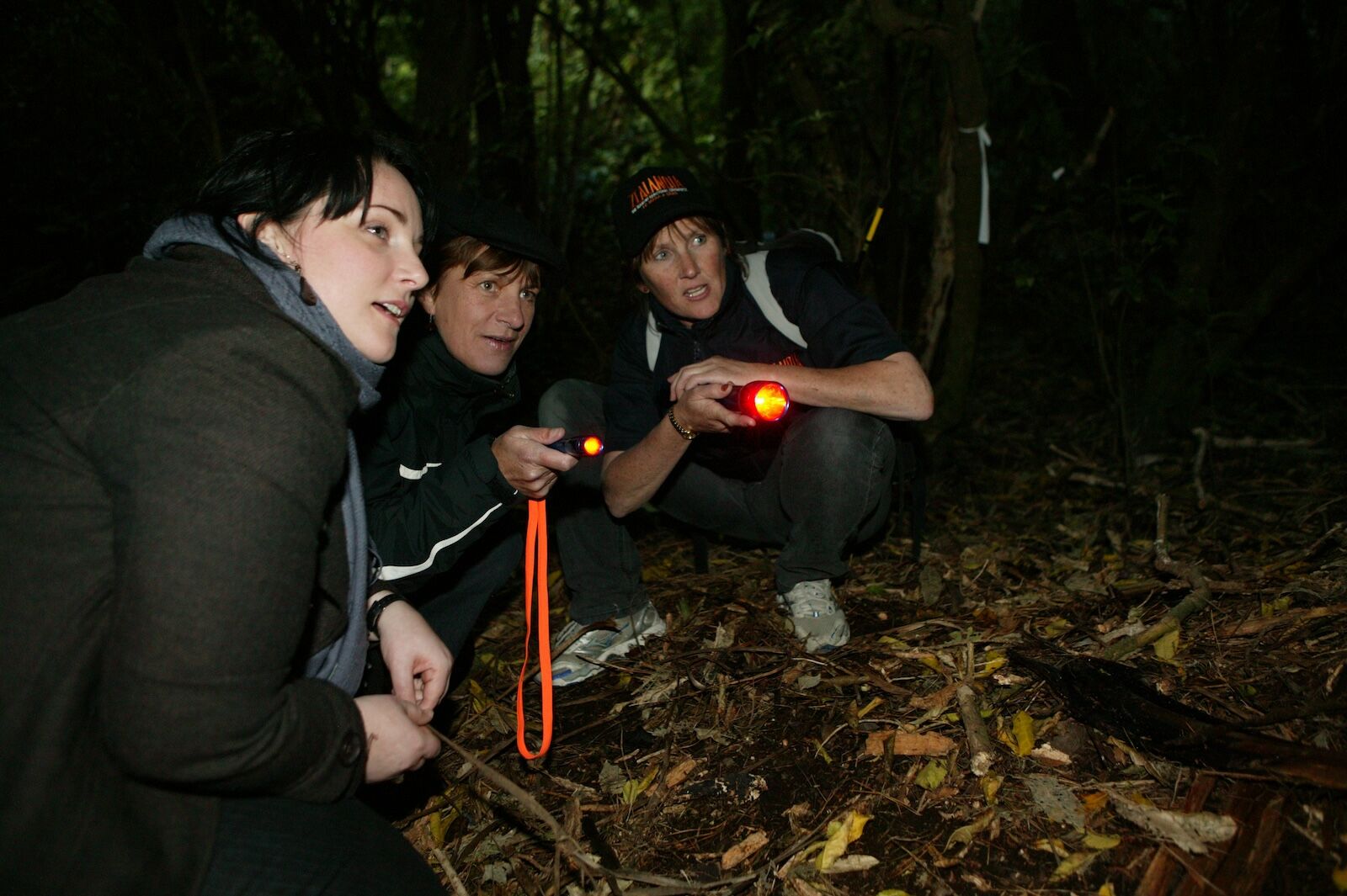kiwi conservation new zealand - night tour