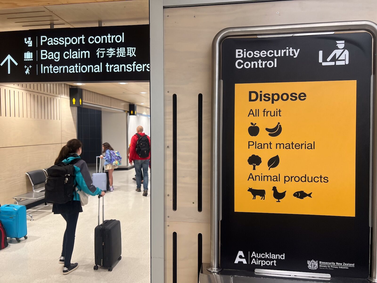 immigration area at auckland airport